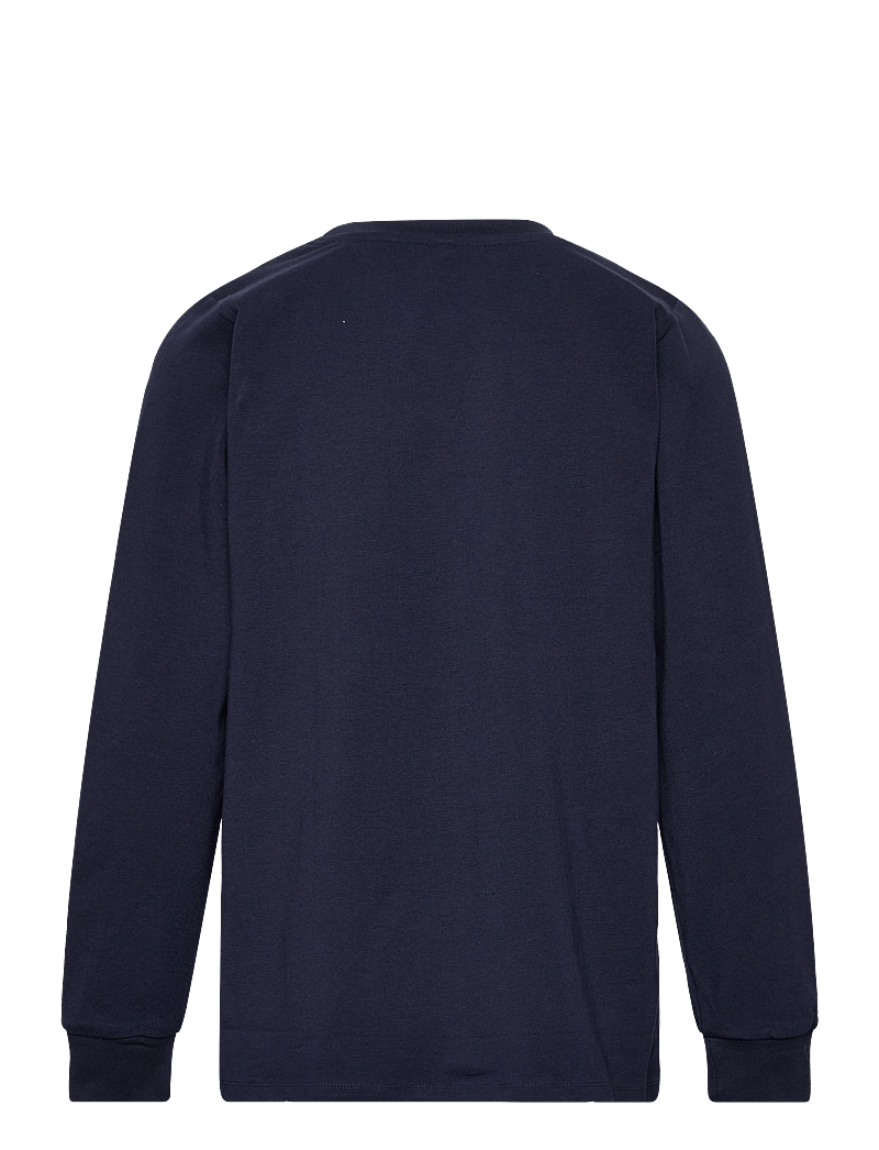 The New - TNDAVIS L_S TEE - sweatshirts - navy blazer - 1