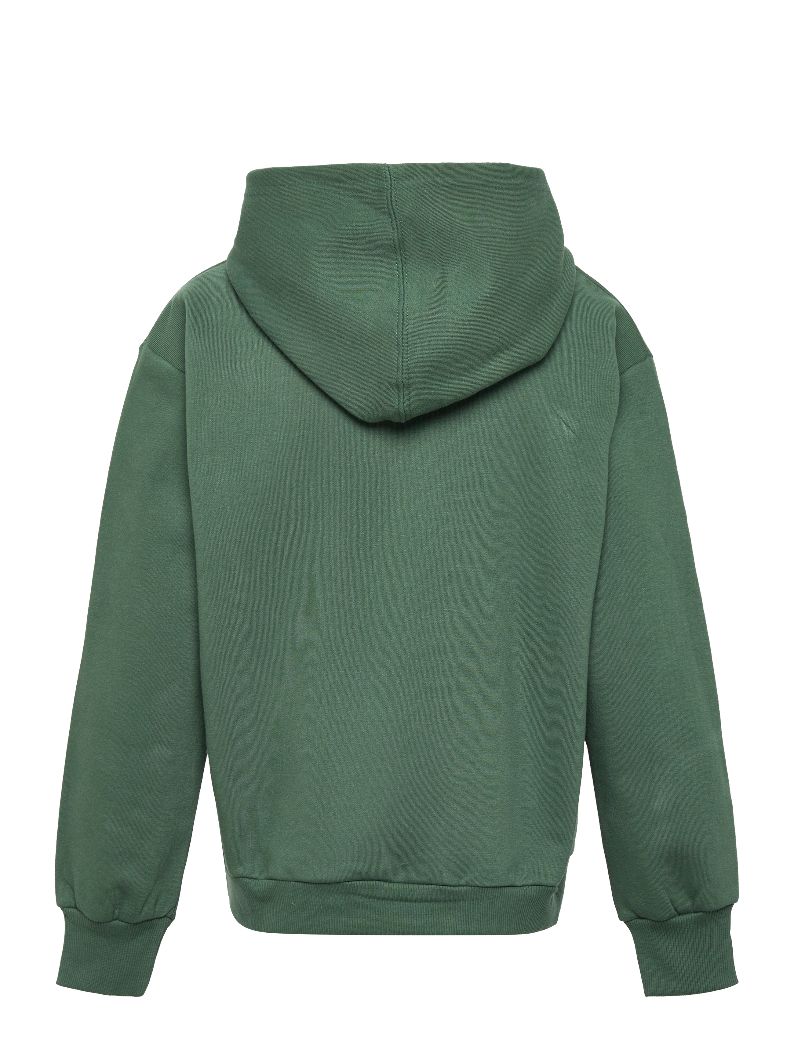 The New - TNDAVE OS HOODIE - garden topiary - 1