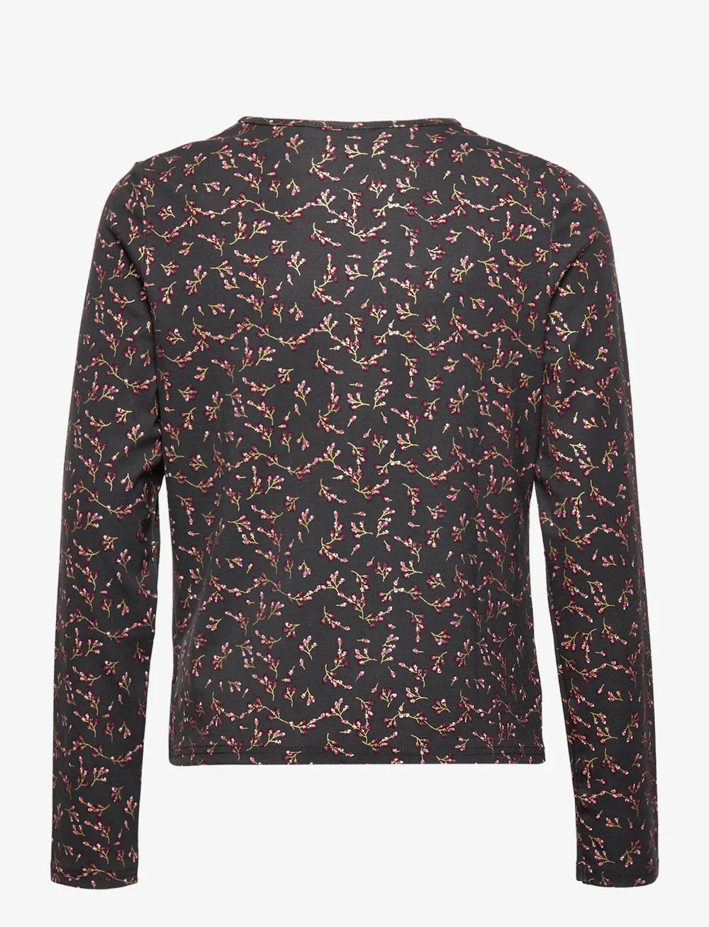 The New - TNDRAYA L_S TEE - langärmelig - phantom - 1