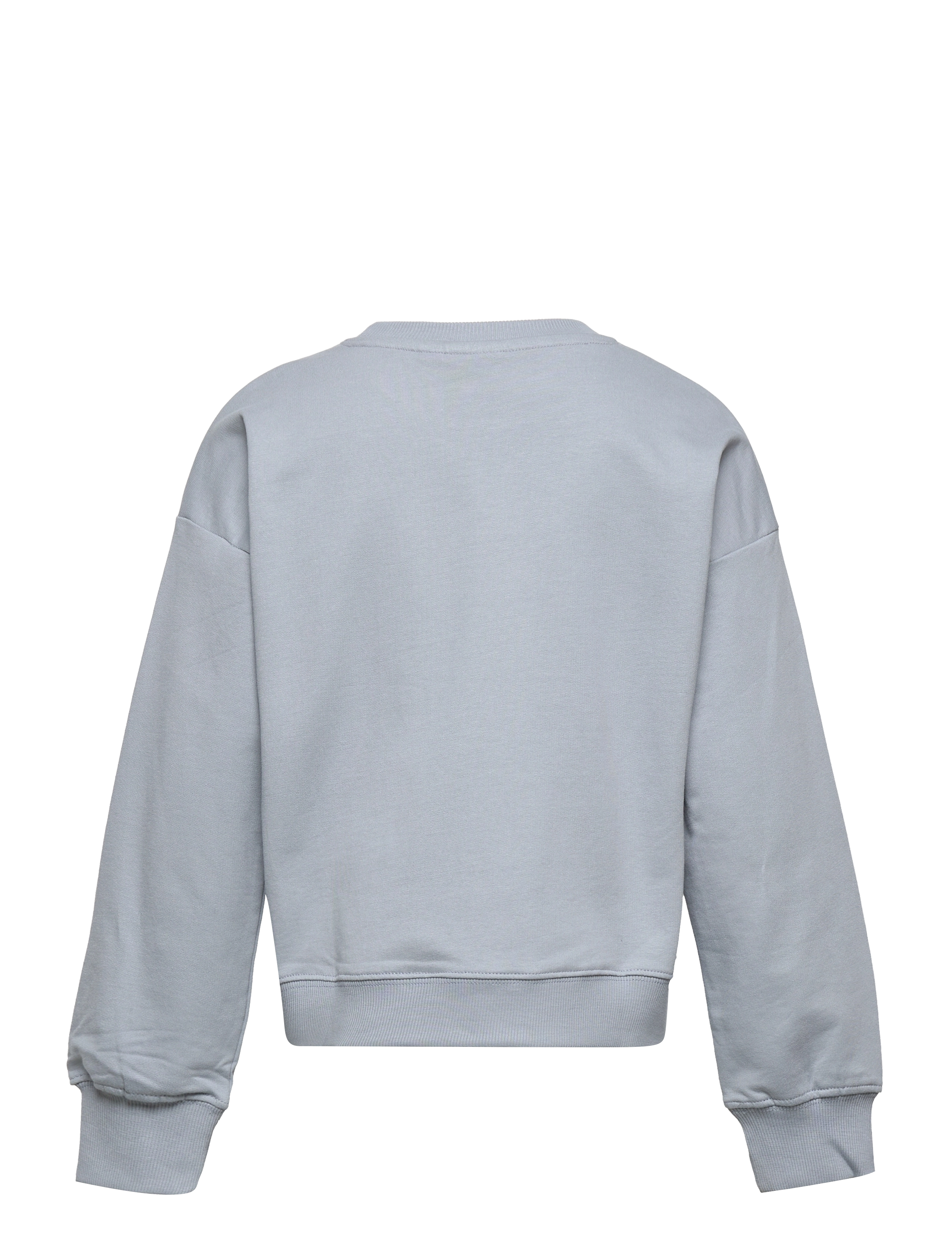 The New - TNDOVE OVERSIZE SWEATSHIRT - tradewinds - 1
