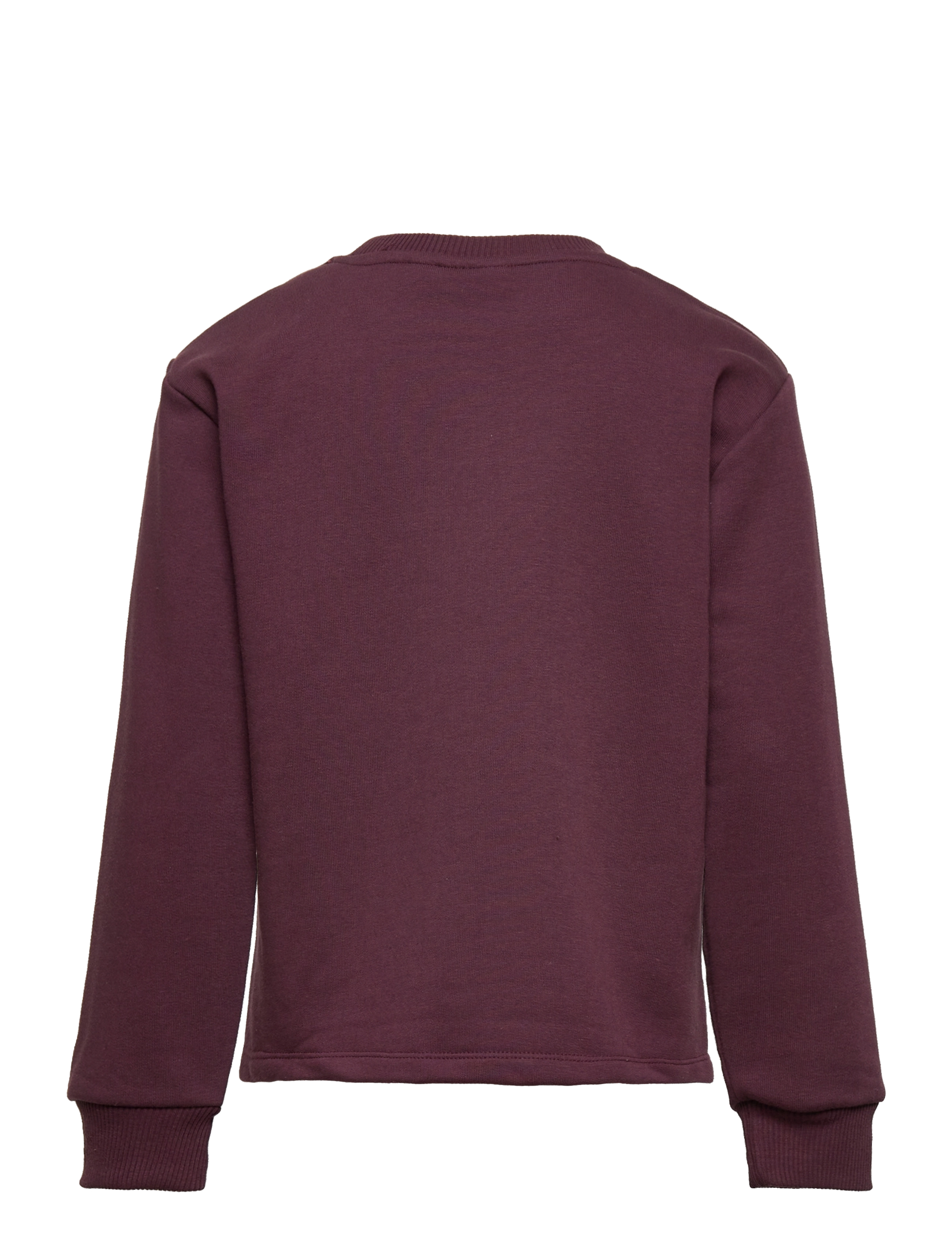 The New - TNDALLAS SWEATSHIRT - winetasting - 1