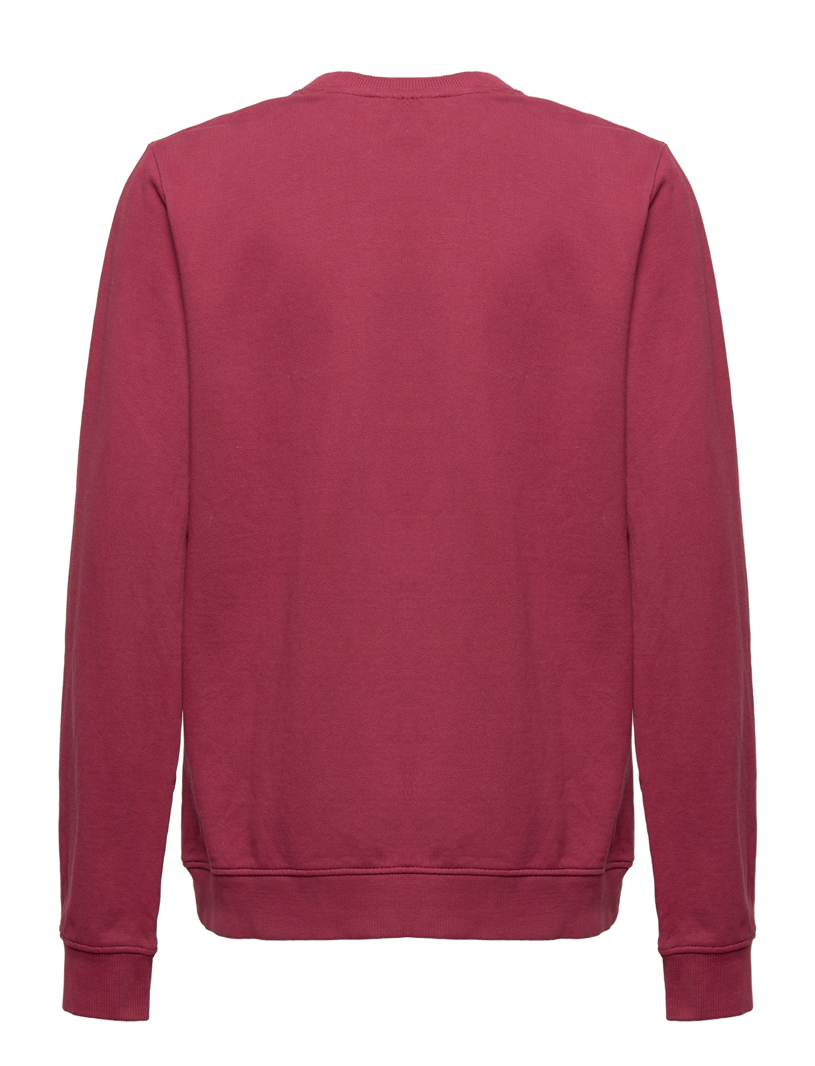 The New - TNDAFFODIL SWEATSHIRT - maroon - 1