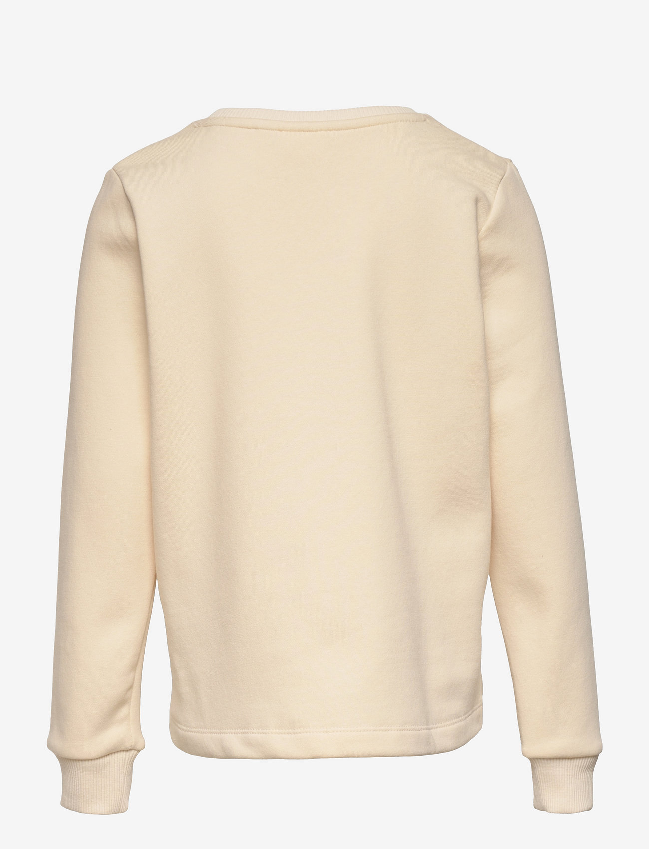 The New - TNCIRSH SWEATSHIRT - white swan - 1