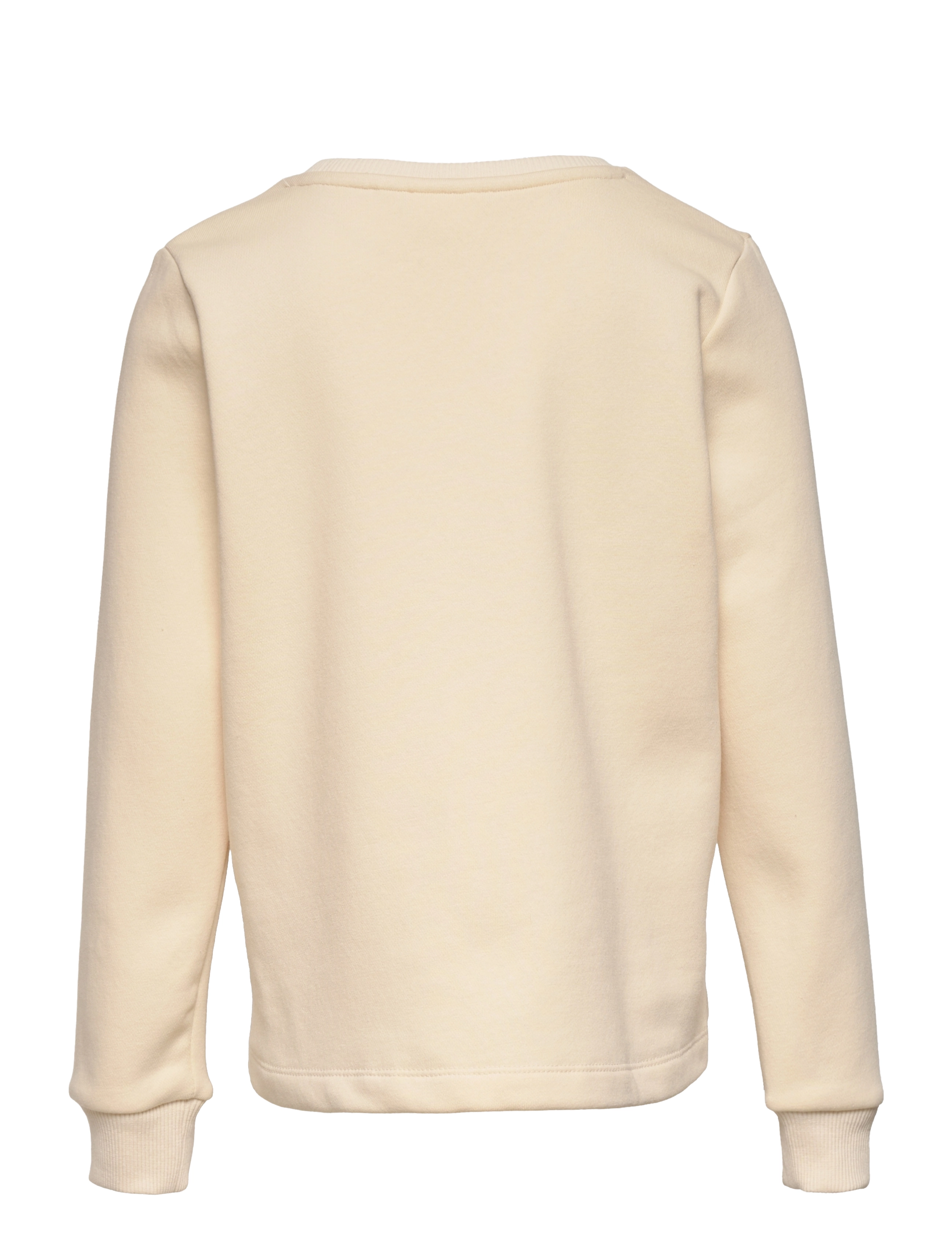 The New - TNCIRSH SWEATSHIRT - white swan - 1