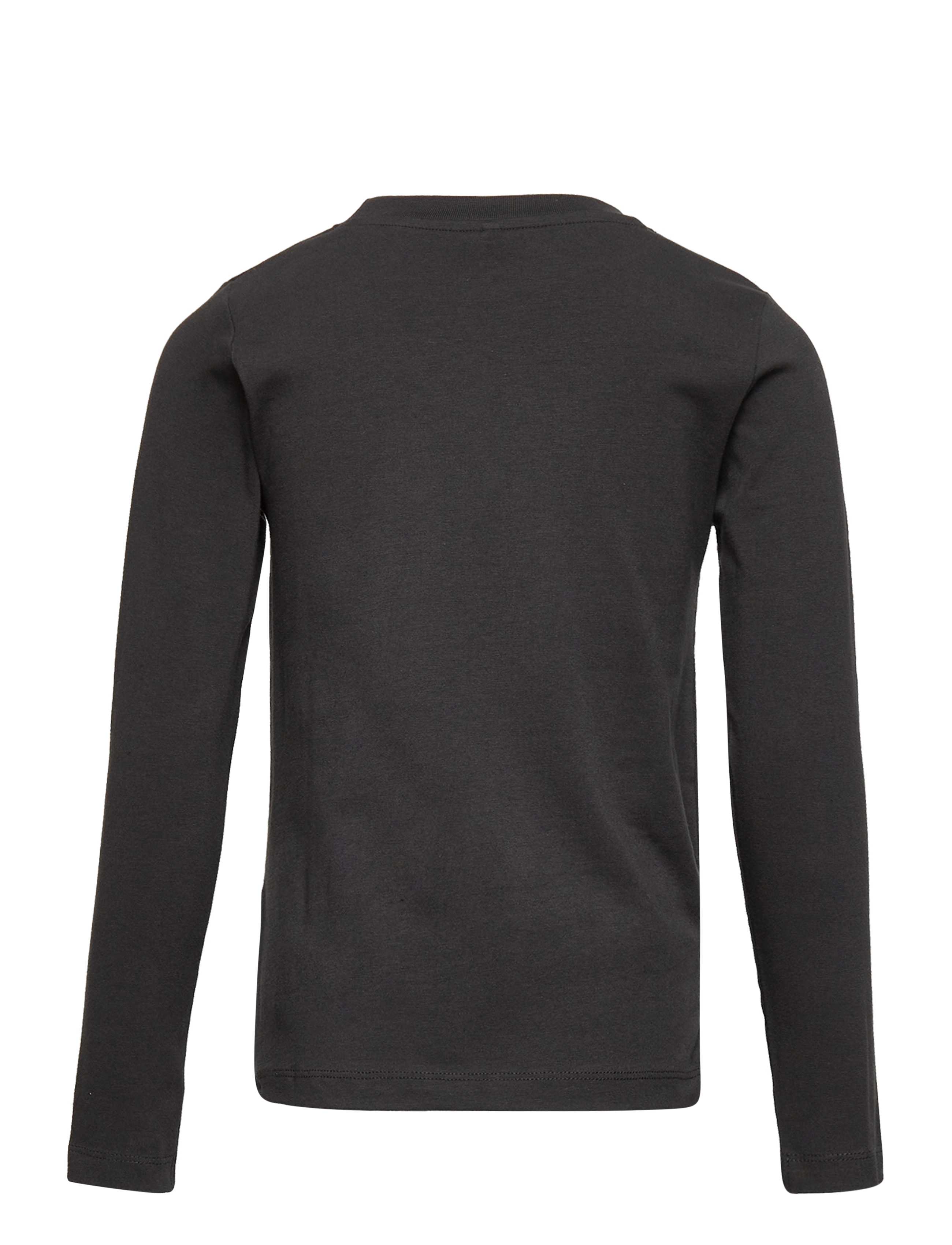 The New - TNDIRILEY L_S TEE - phantom - 1