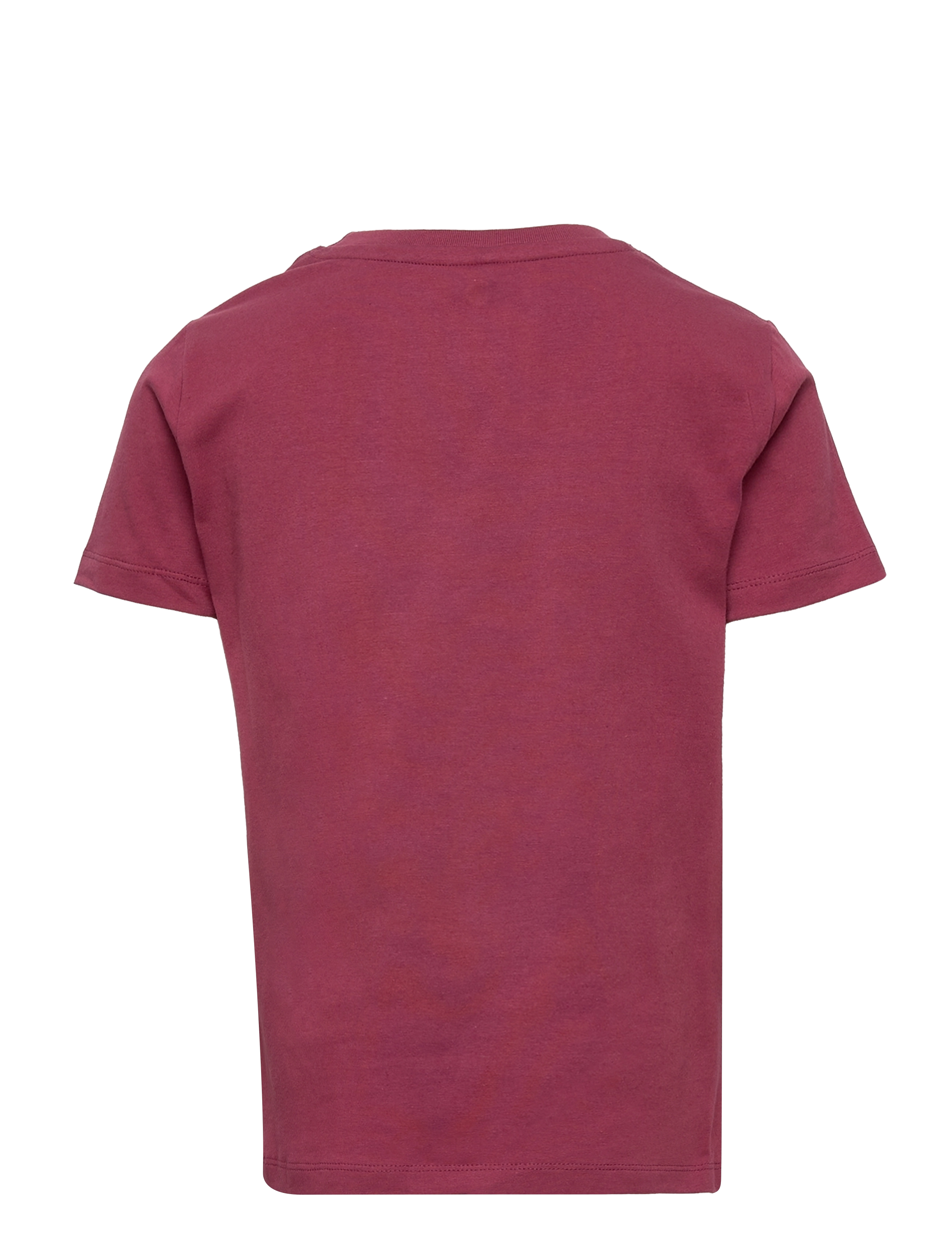 The New - TNSISTER S_S TEE - maroon - 1