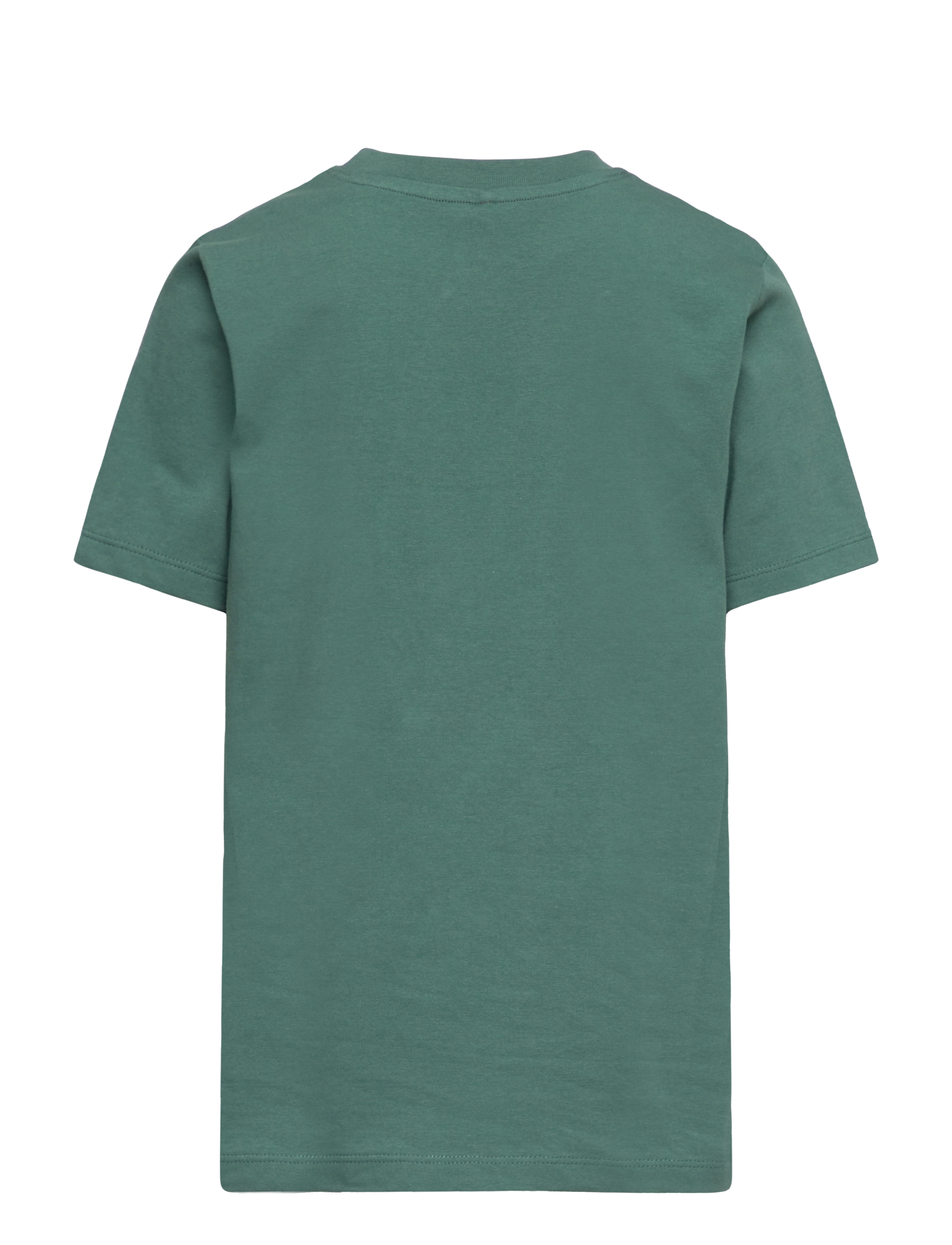 The New - TNFOMO S_S TEE - blue spruce - 2