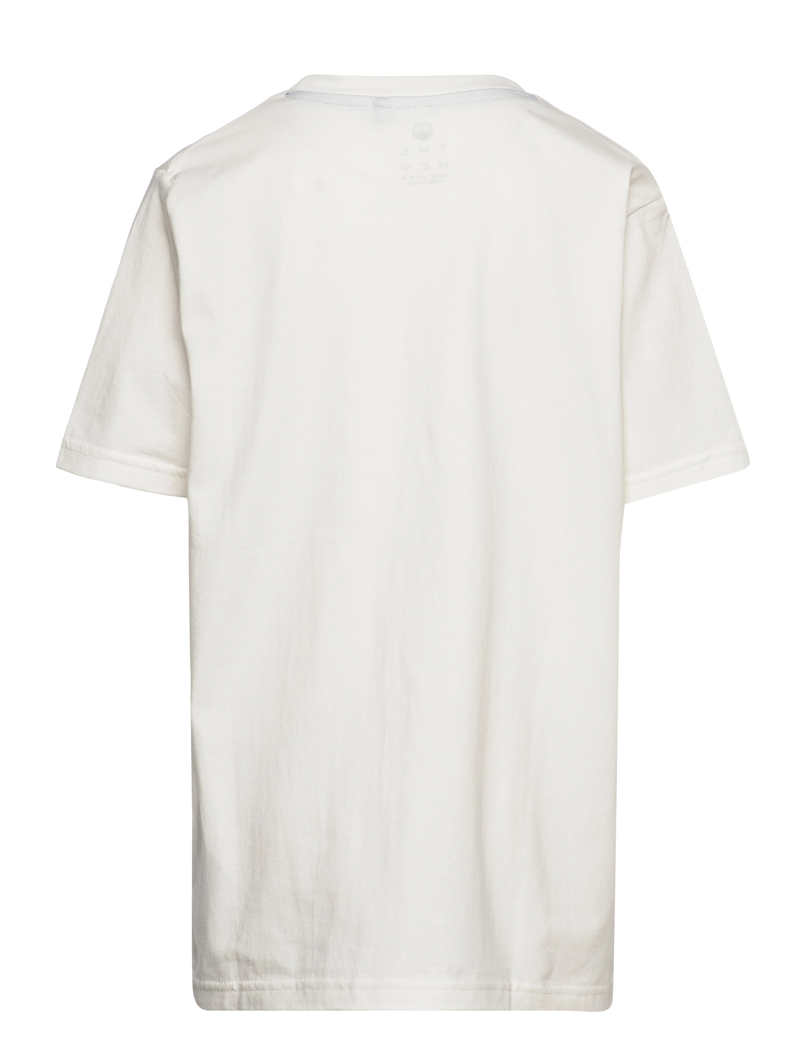 The New - TNFRANK S_S TEE - white swan - 1