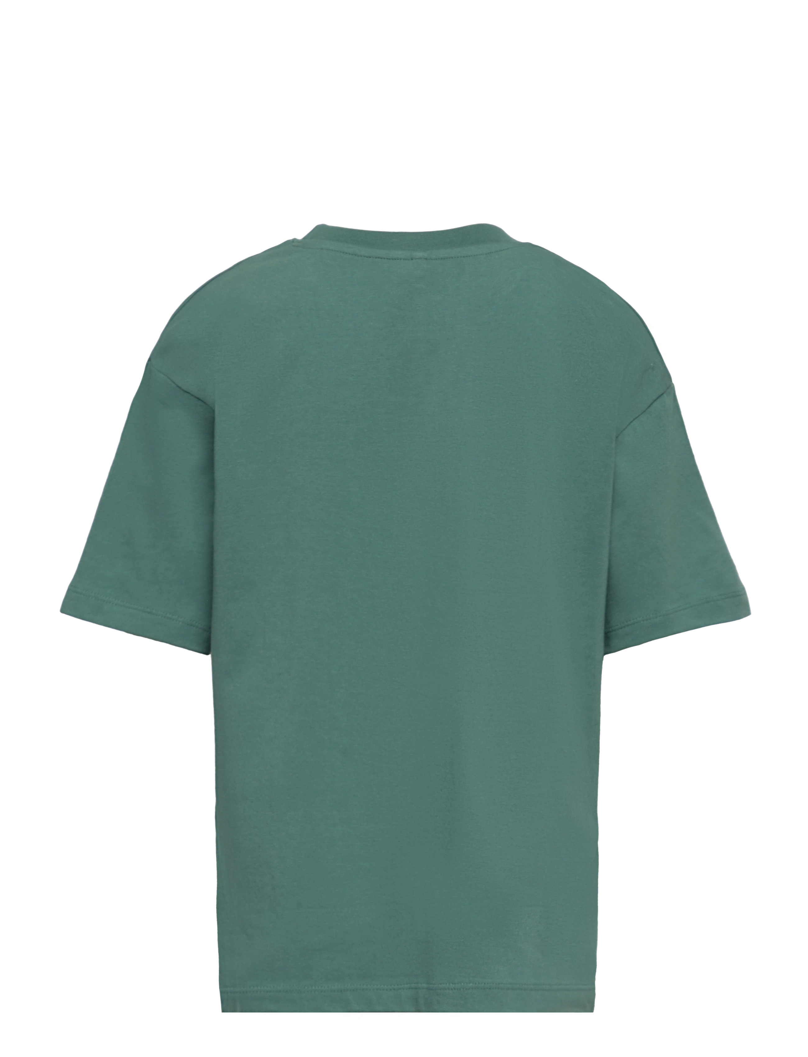 The New - TNFRIES OS S_S TEE - blue spruce - 1