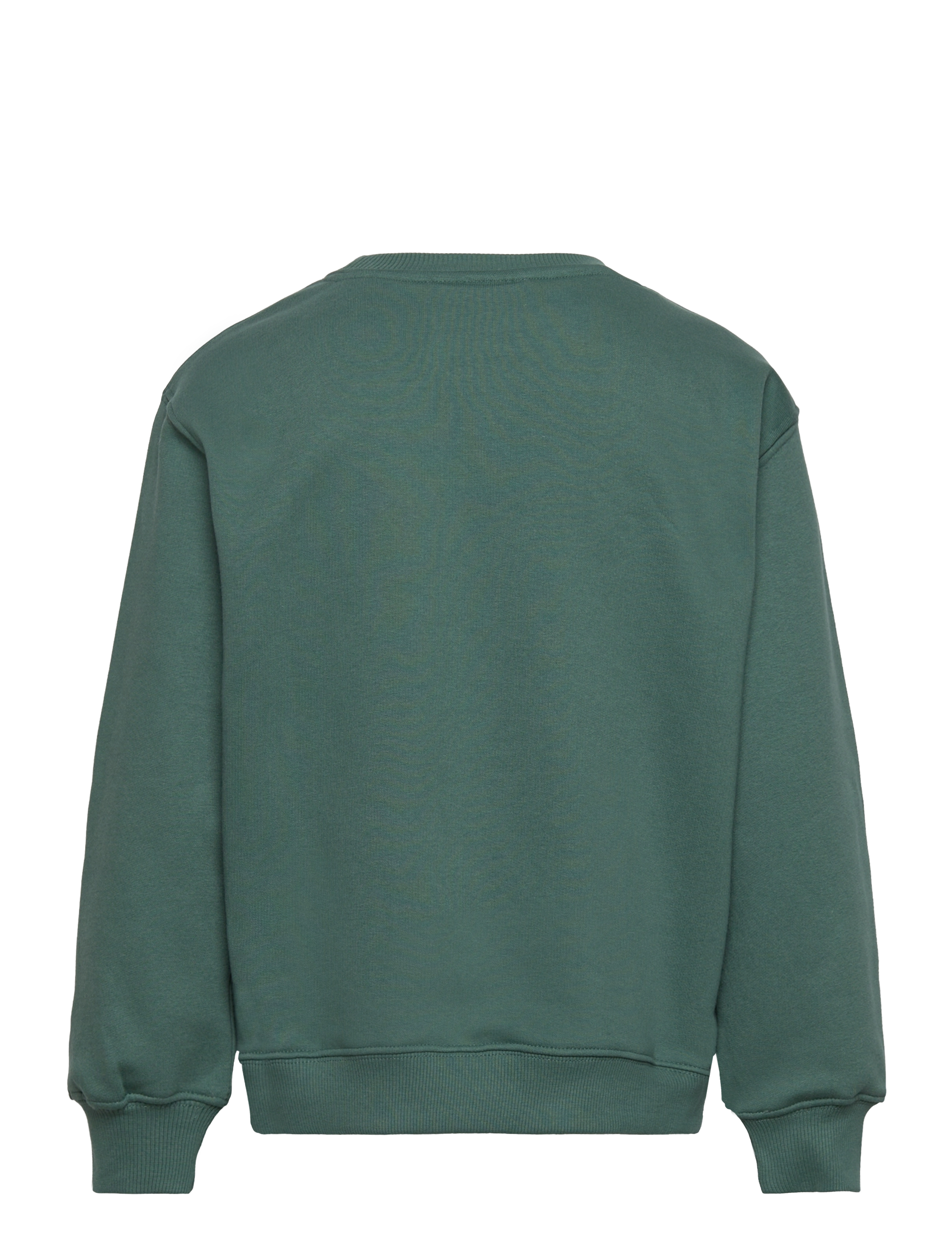 The New - TNFONSO OS SWEATSHIRT - blue spruce - 1