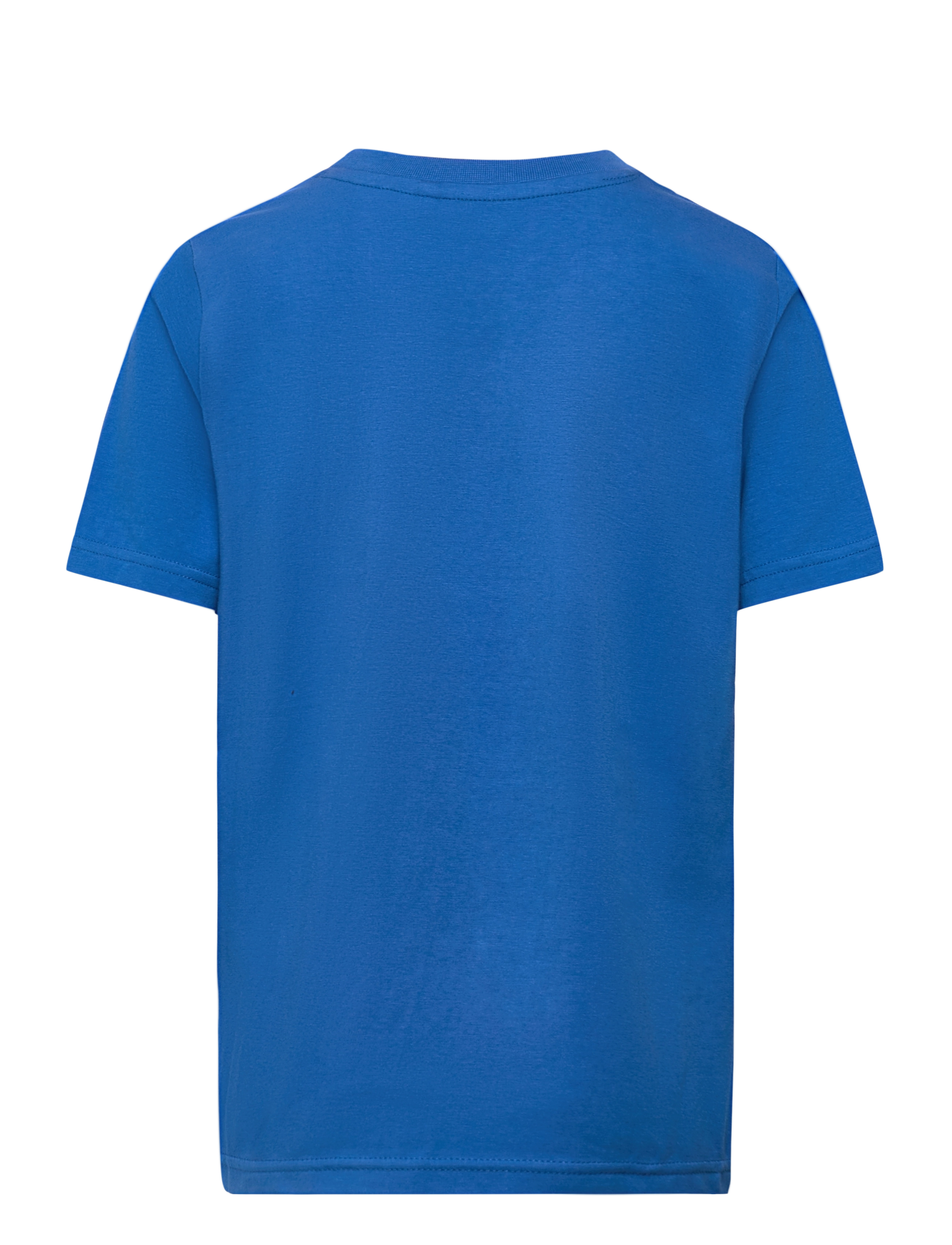 The New - TNFAST S_S TEE - daphne - 1