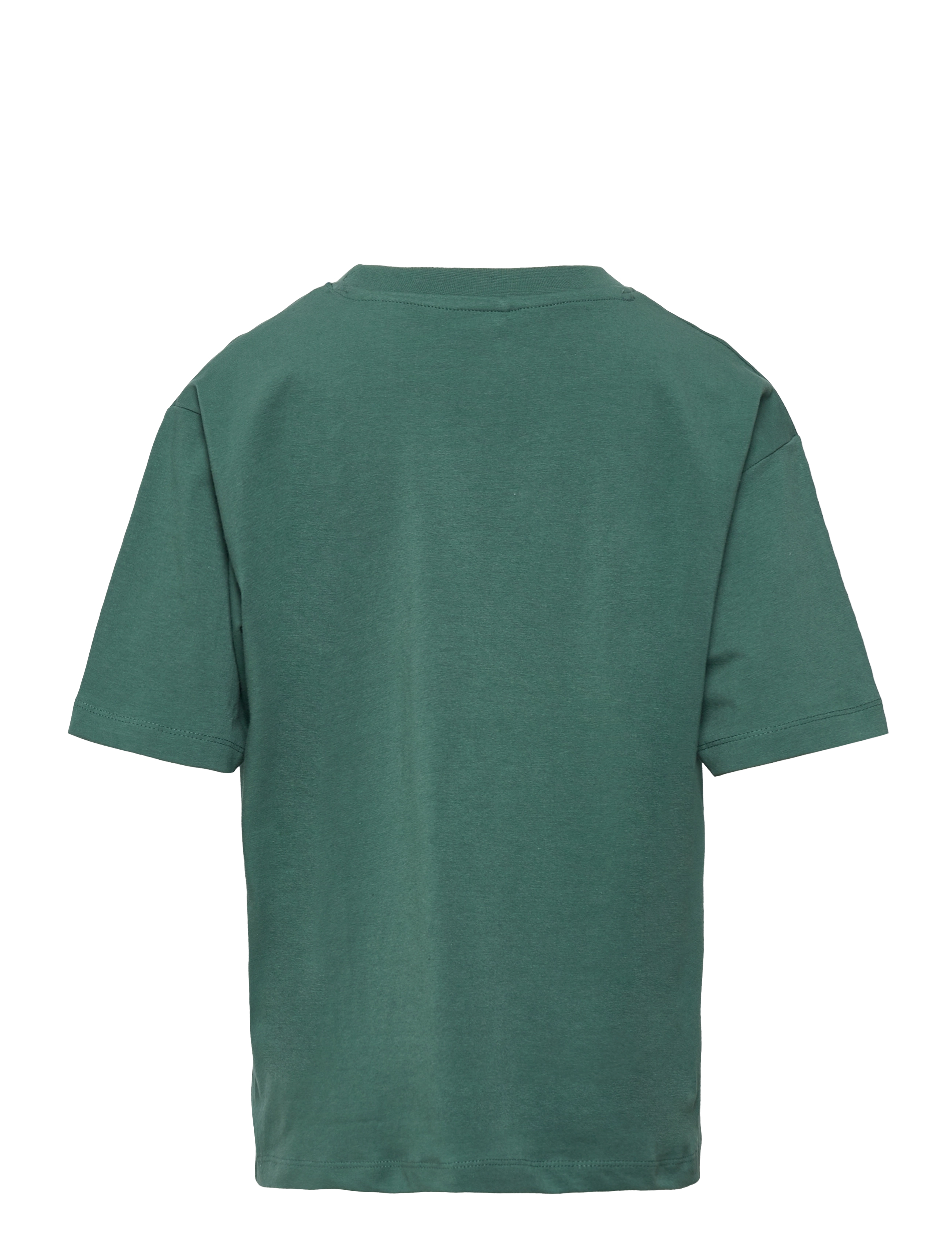 The New - TNFORT OS S_S TEE - blue spruce - 1