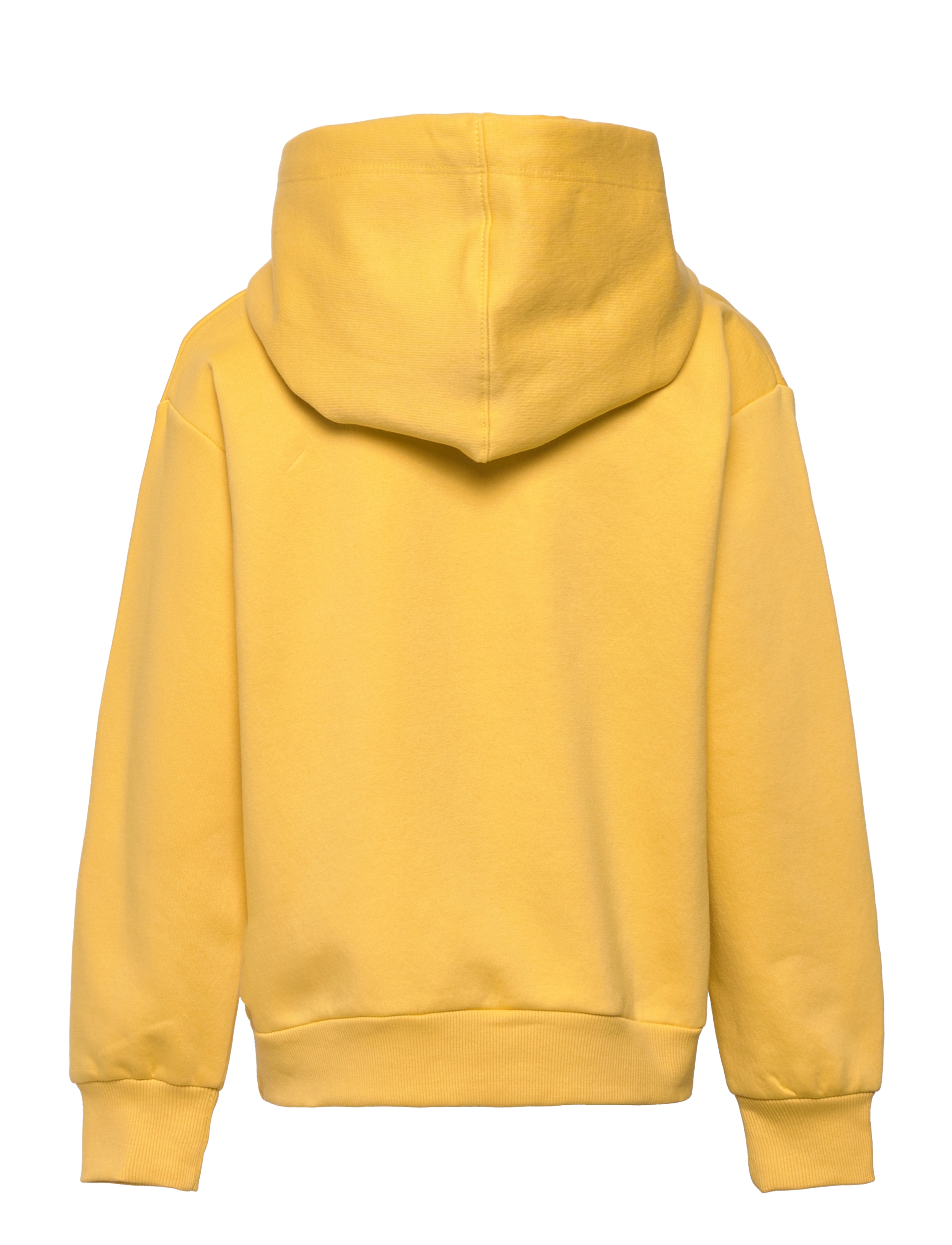 The New - TNFILLO OS HOODIE - misted yellow - 1