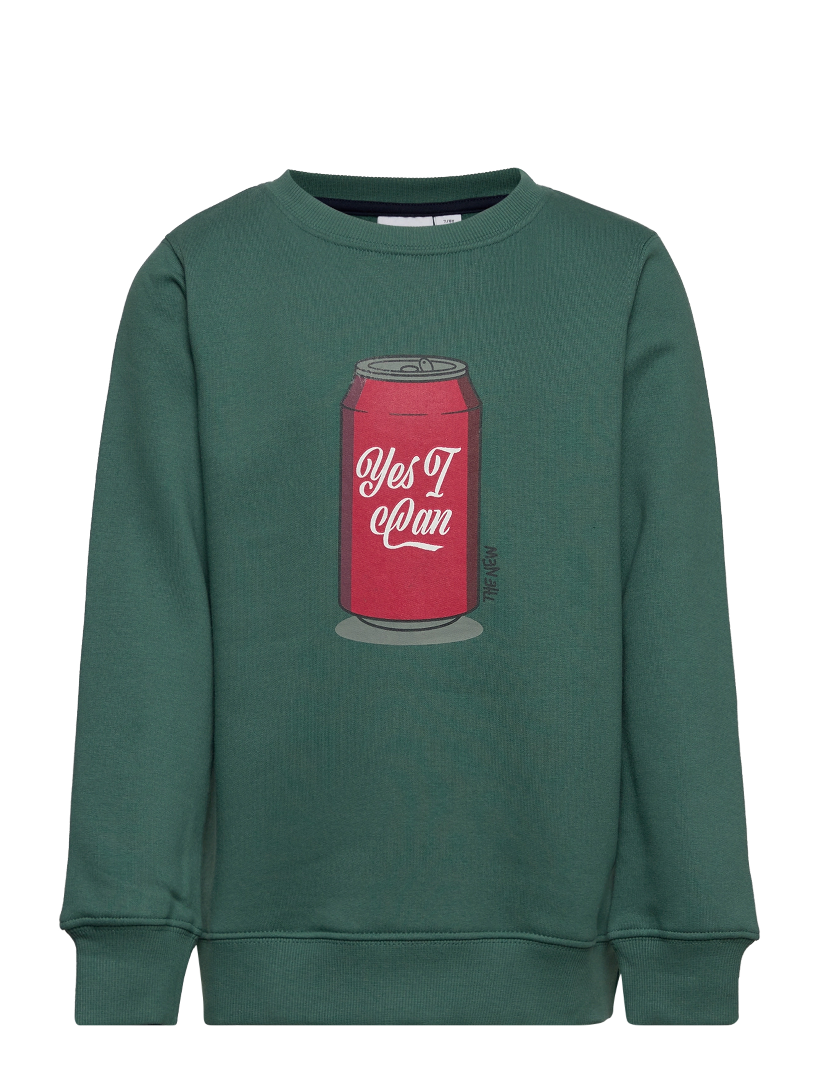 The New - TNFILLO SWEATSHIRT - blue spruce - 0
