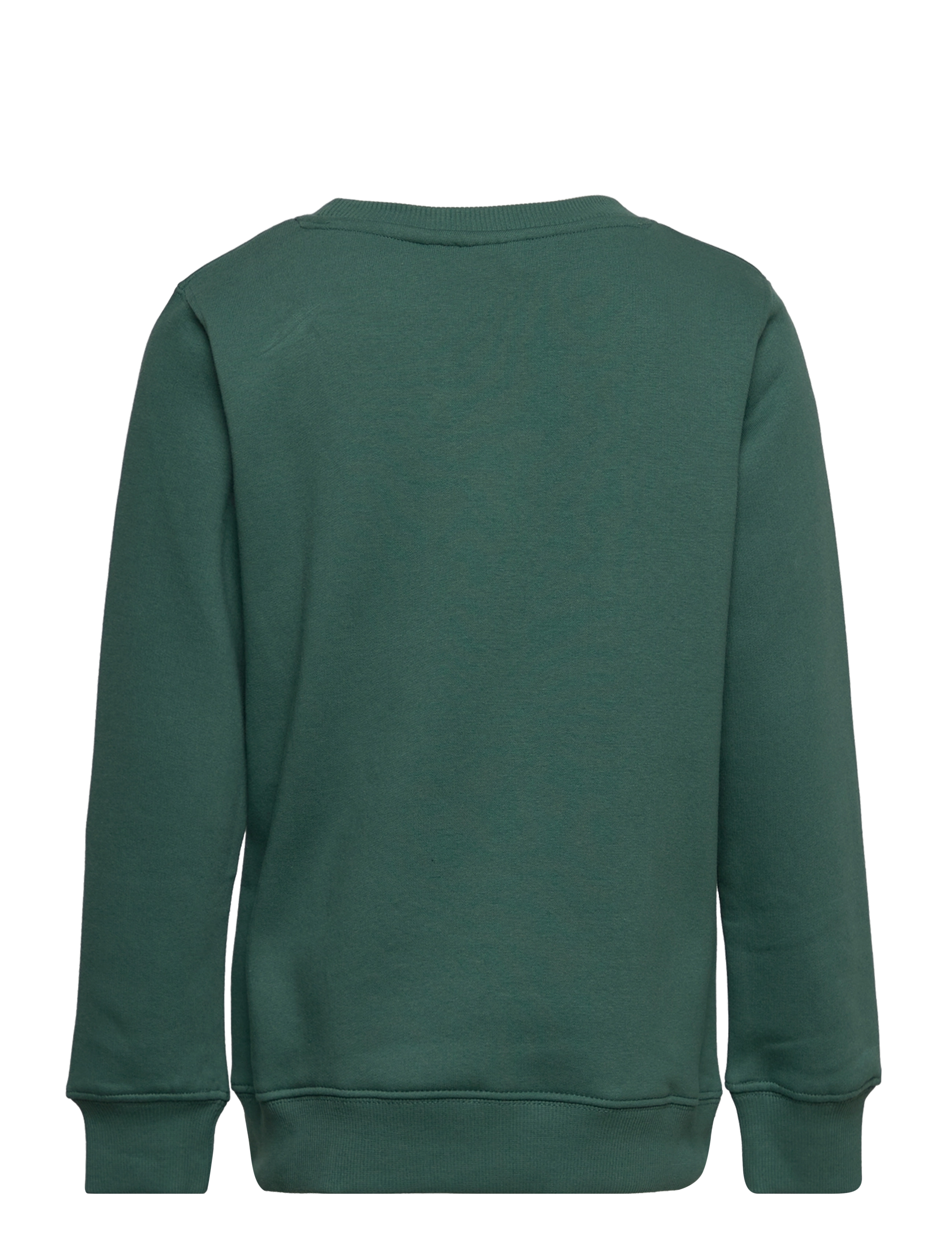 The New - TNFILLO SWEATSHIRT - blue spruce - 1