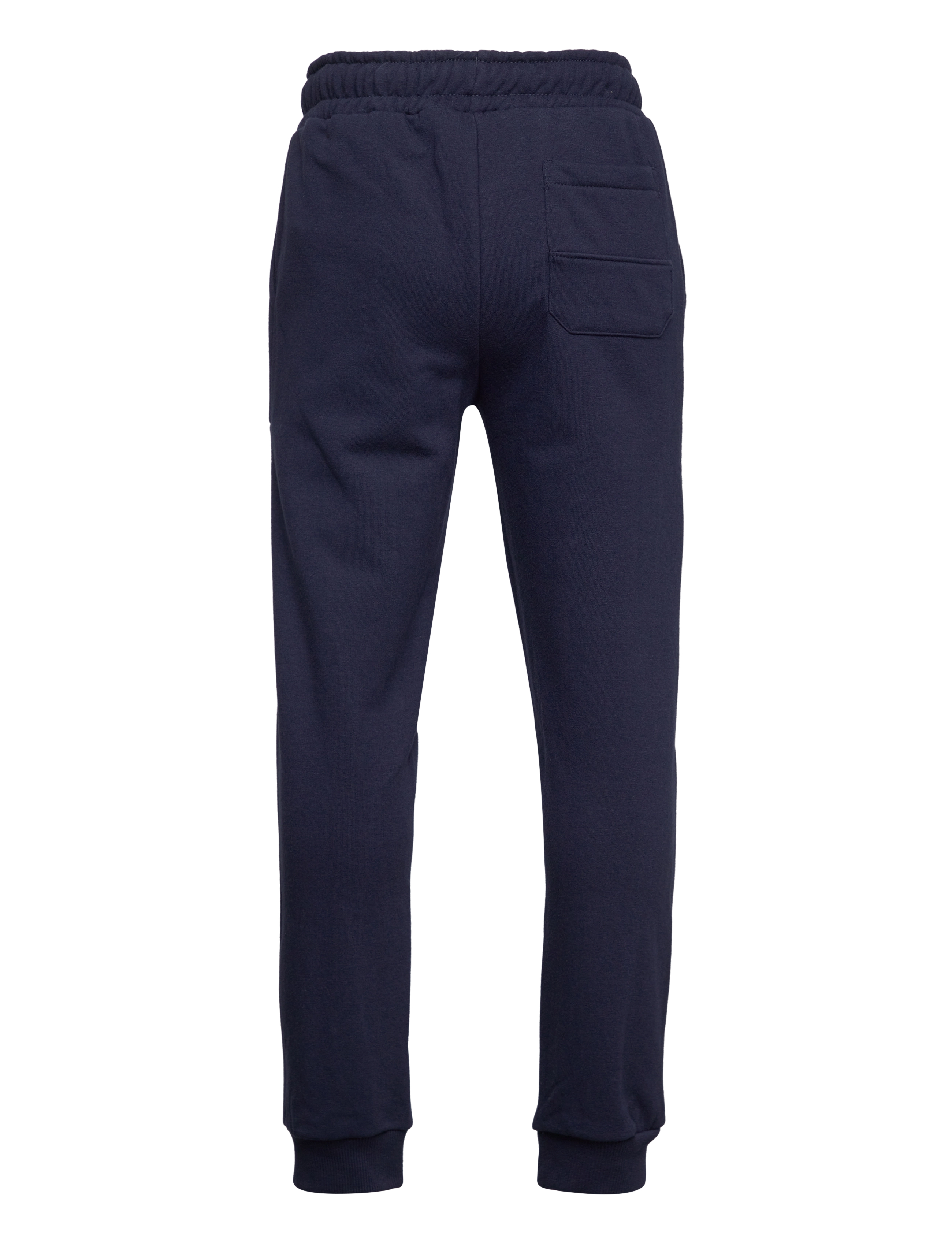 The New - TNFAEDO SWEATPANTS - navy blazer - 1
