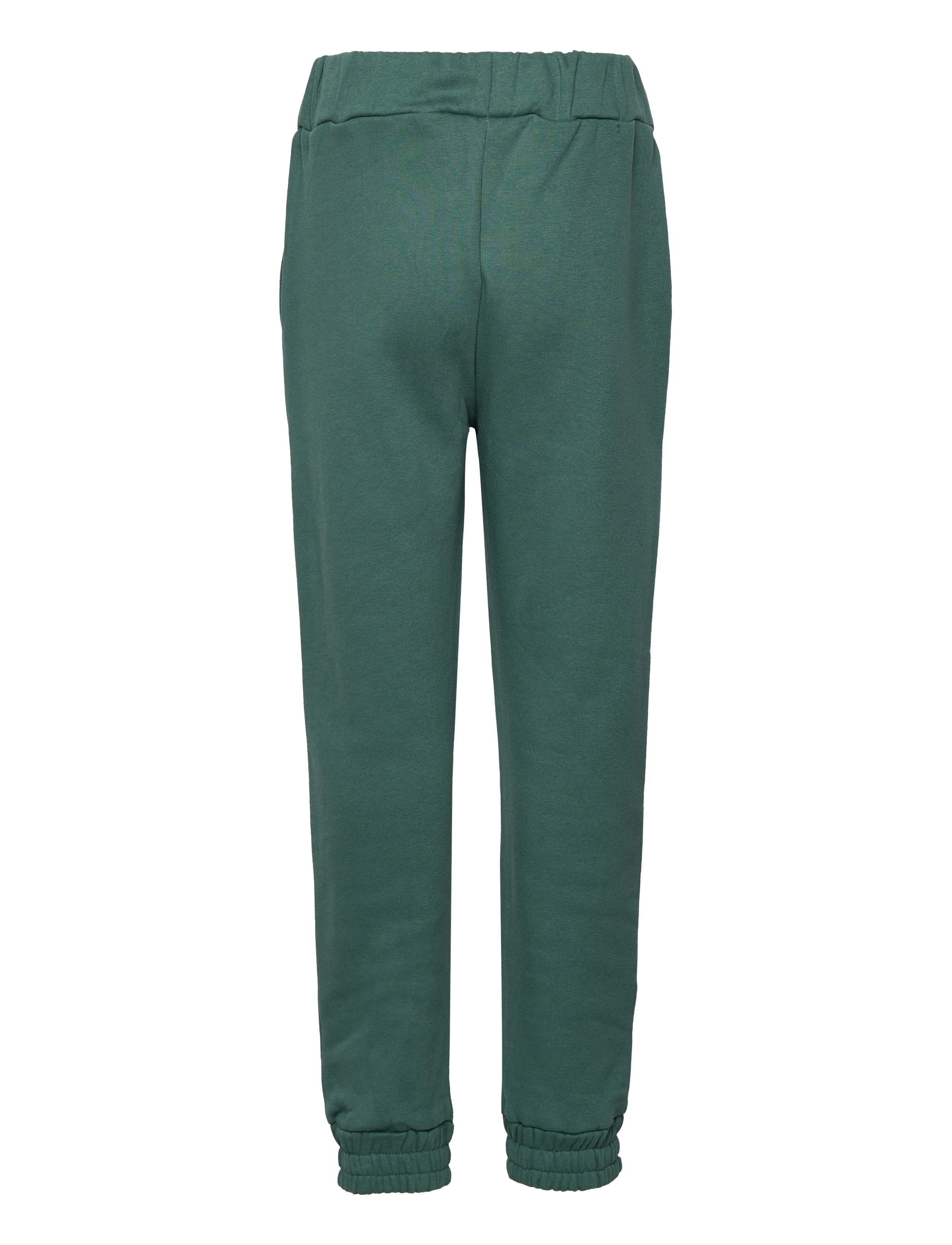 The New - TNFIVE SWEATPANTS - blue spruce - 1
