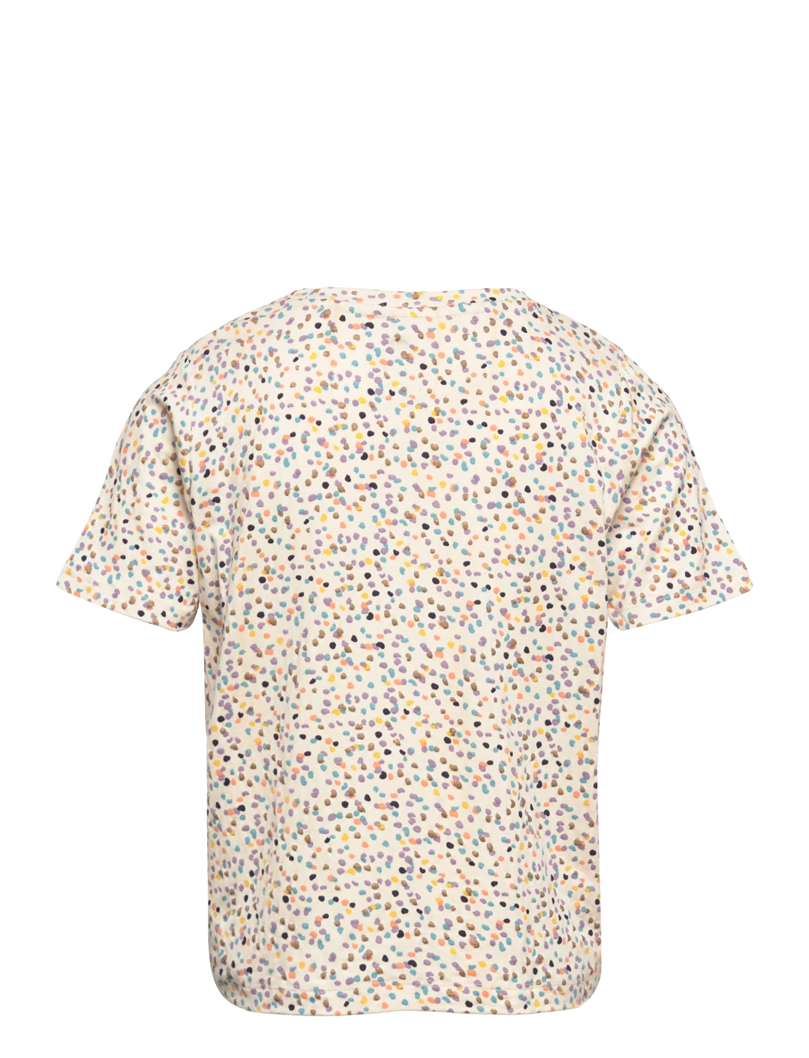 The New - TNFARLA S_S TEE - white swan - 1