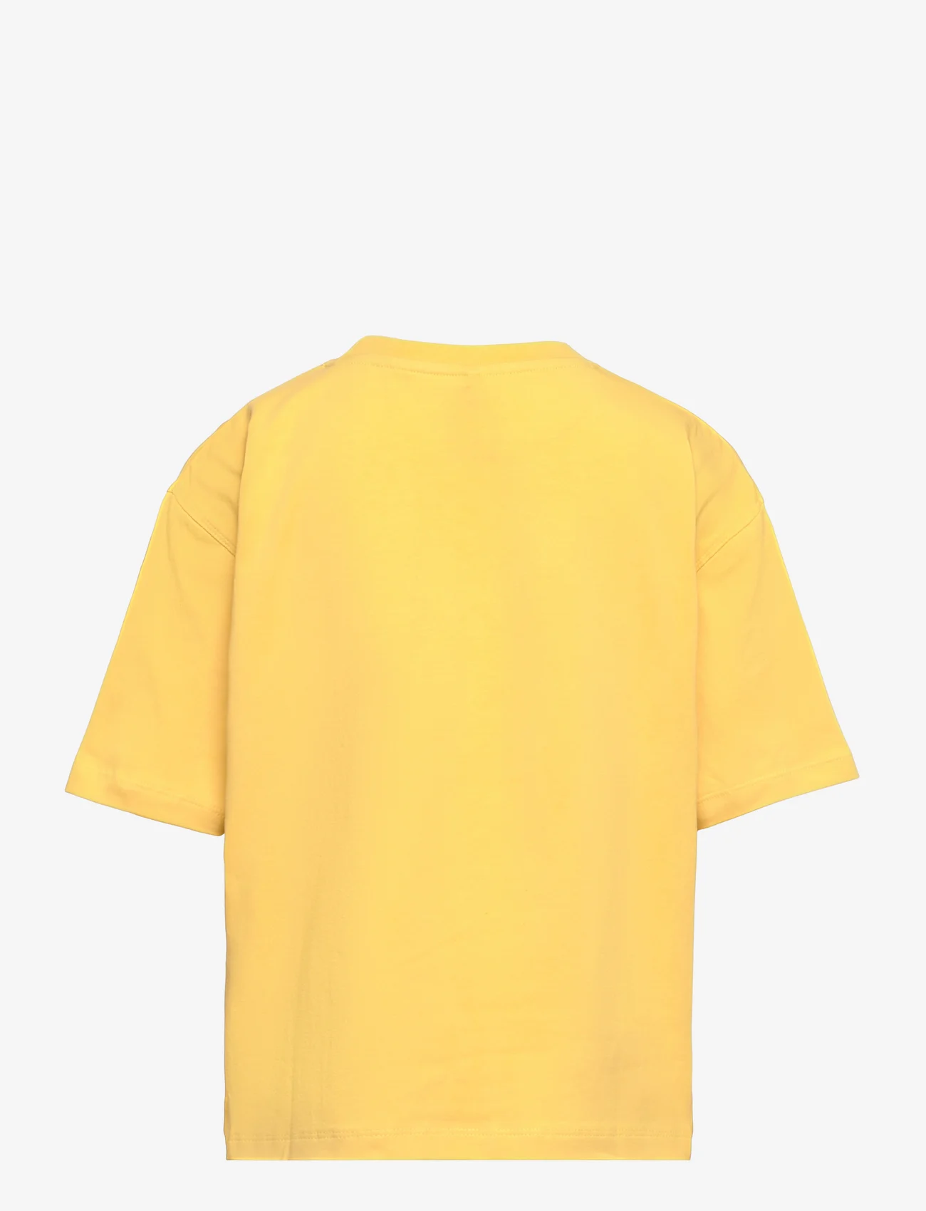 The New - TNFREJA OS S_S TEE - kortærmede t-shirts - misted yellow - 1
