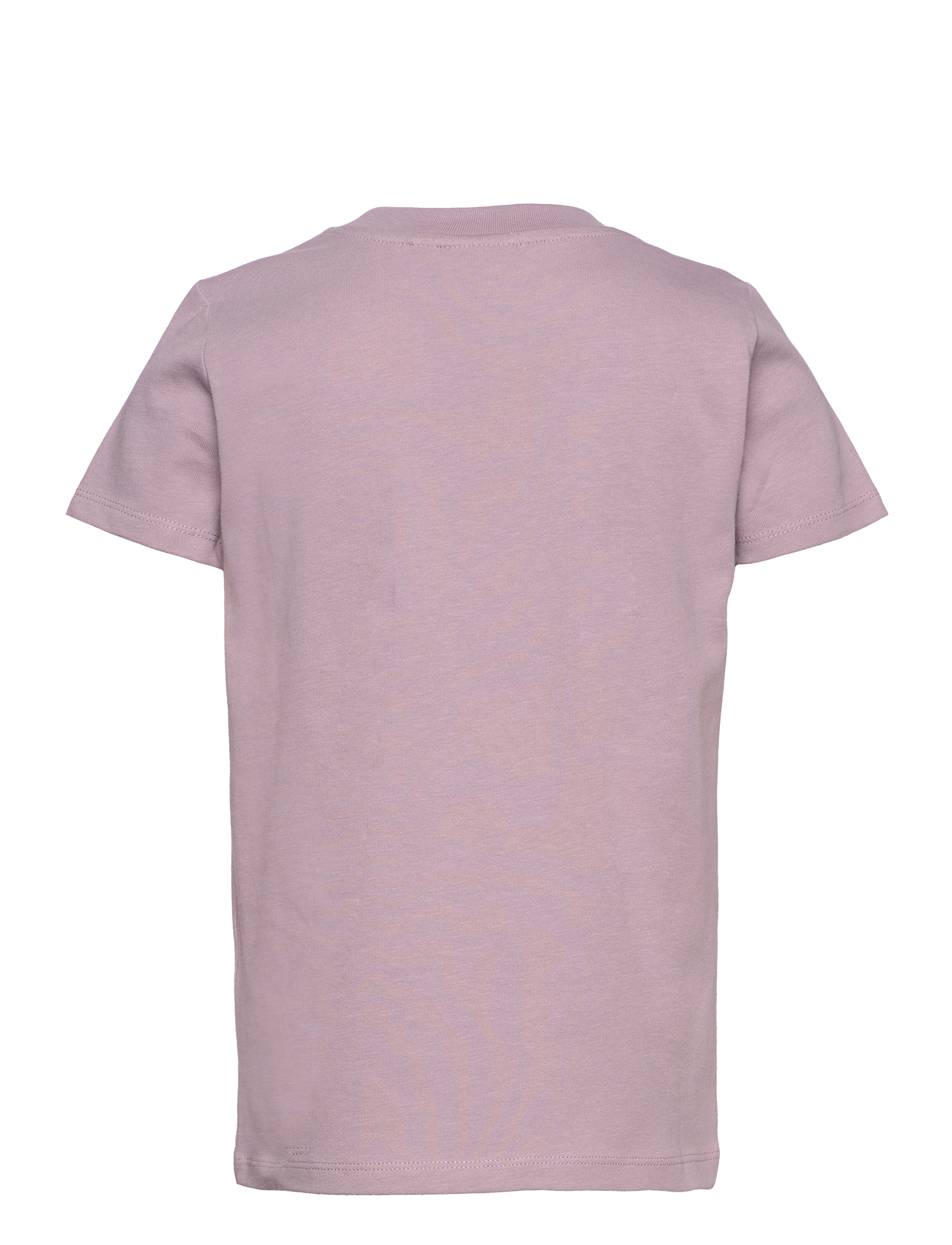 The New - TNFIONA S_S TEE - sea fog - 1