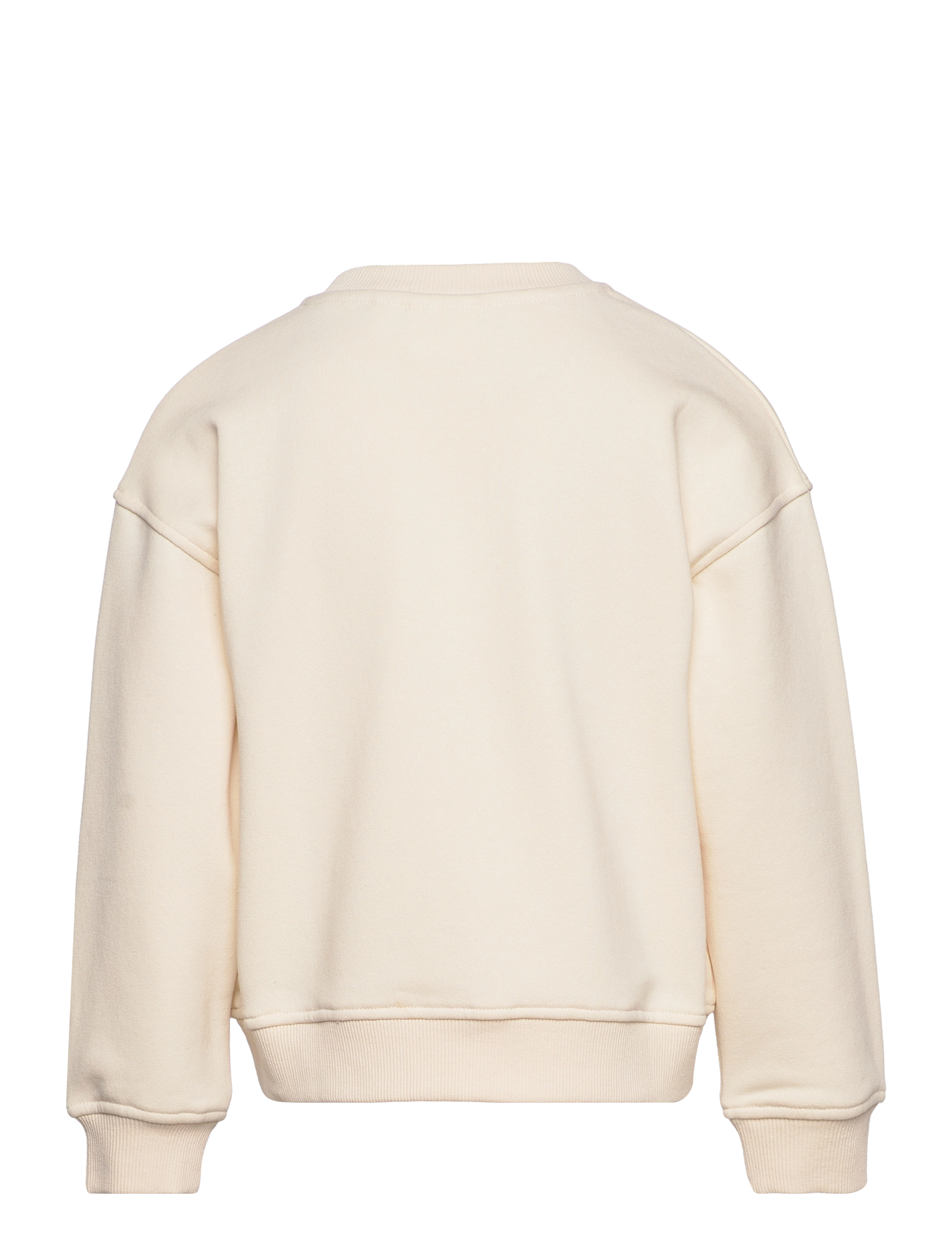 The New - TNFALULIA OS SWEATSHIRT - white swan - 1