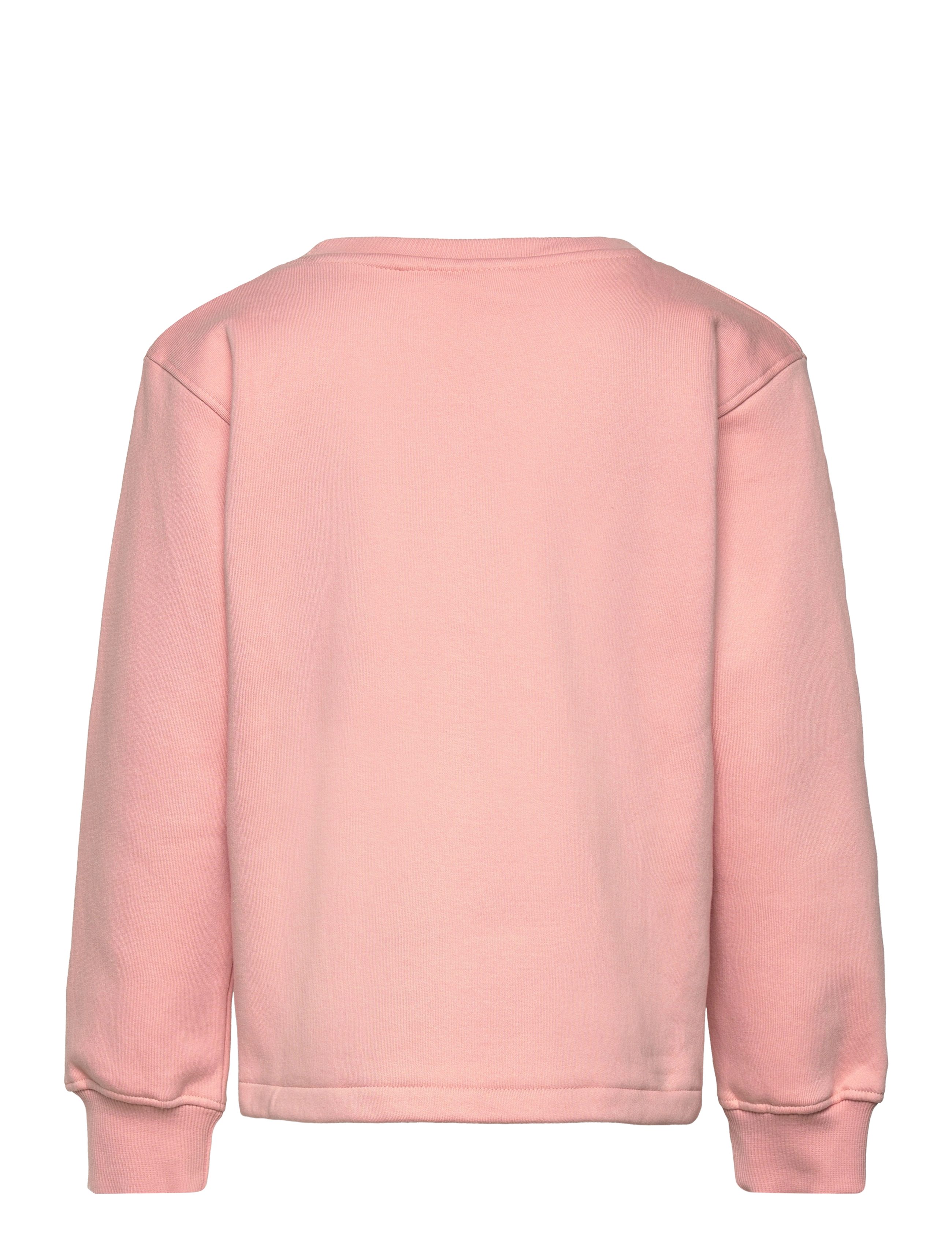 The New - TNFEMBA SWEATSHIRT - peach beige - 1
