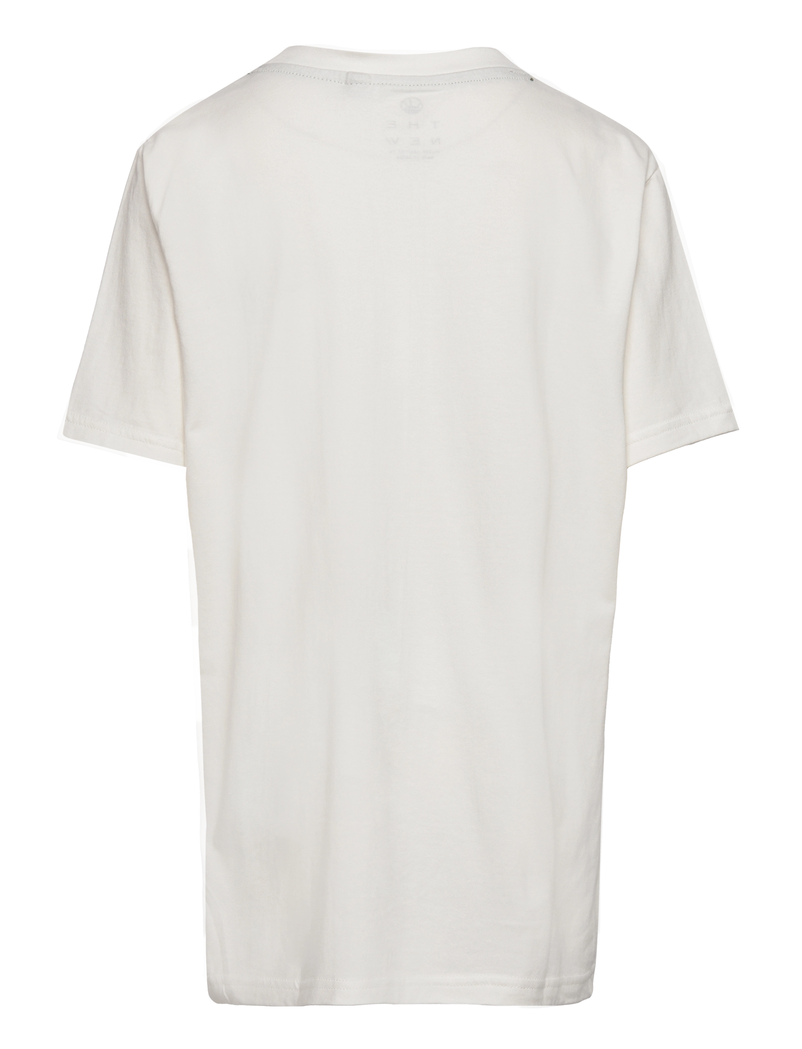 The New - TNFOSE S_S TEE - white swan - 1