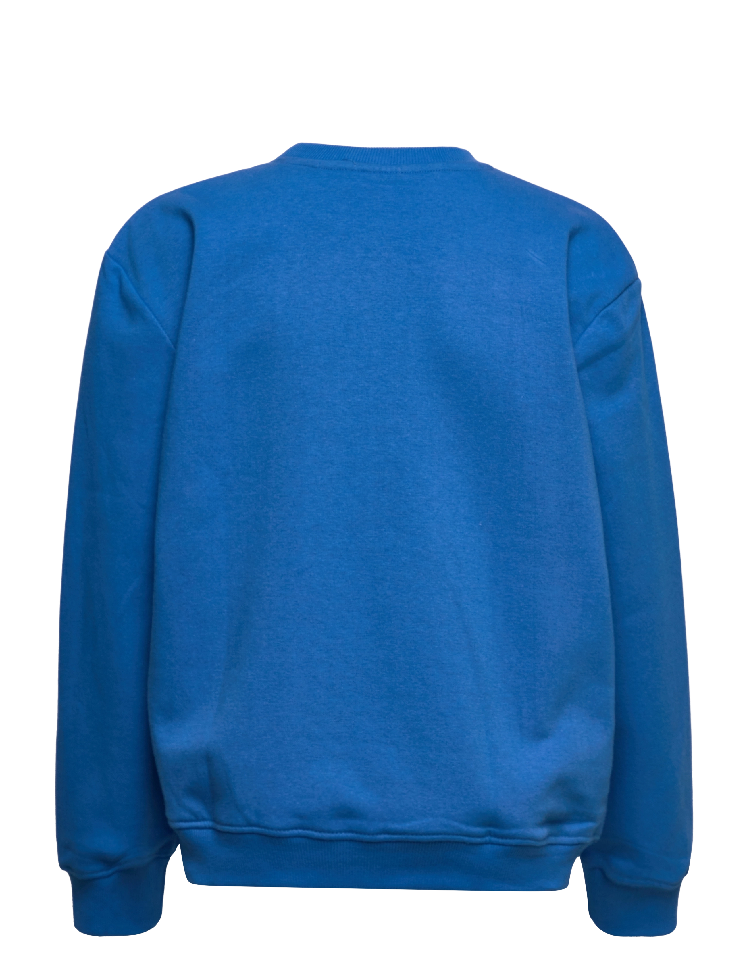 The New - TNFOSE SWEATSHIRT - daphne - 1