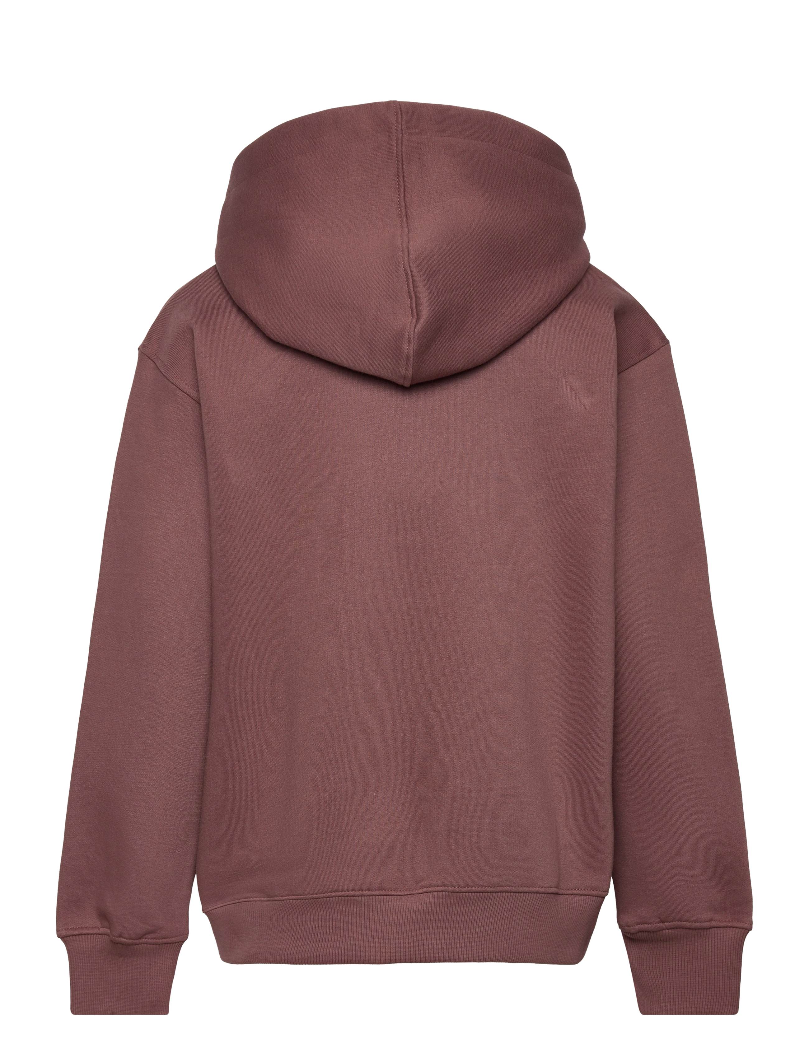 The New - TNHENRIK OS HOODIE - marron - 1
