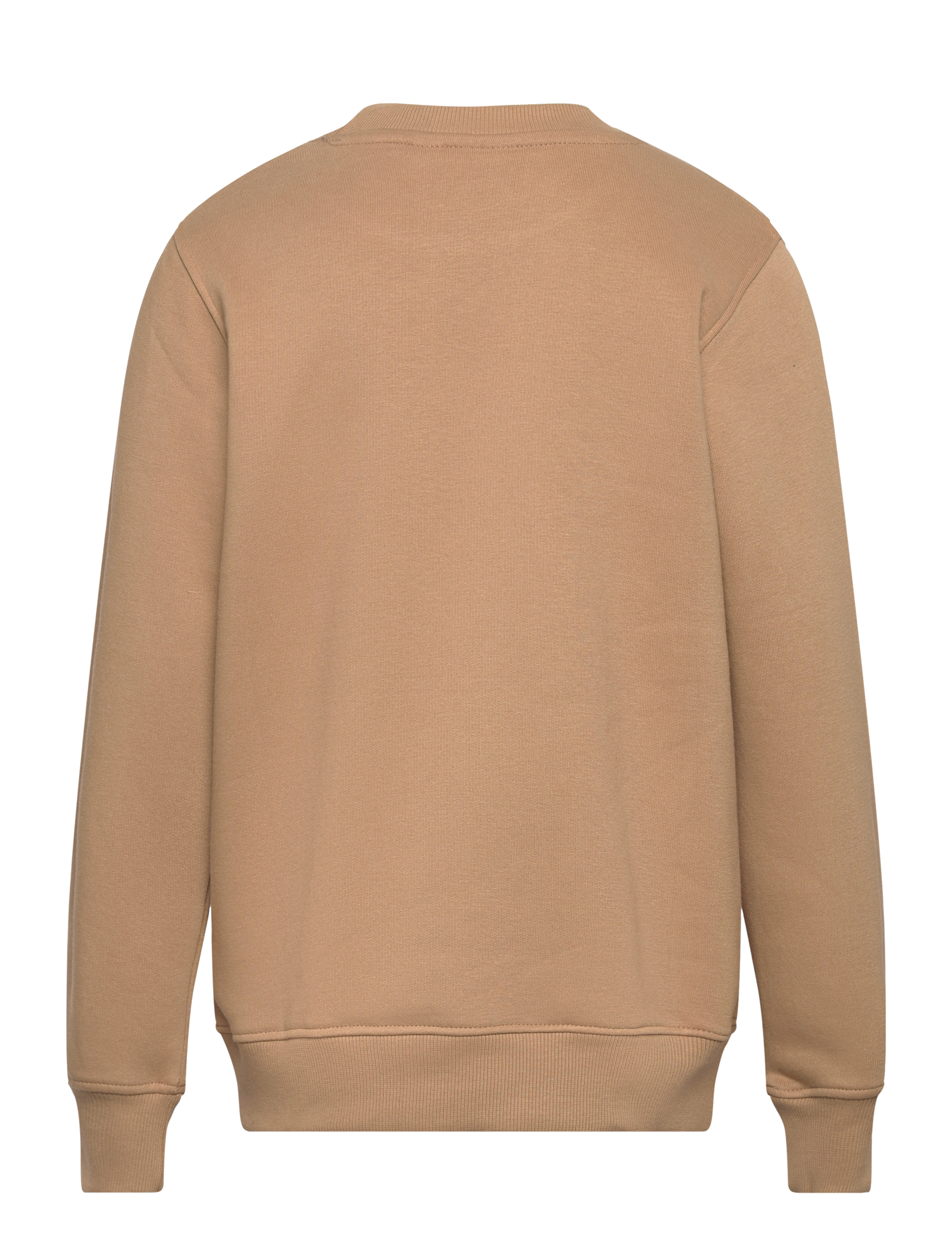 The New - TNHOWARD SWEATSHIRT - tigers eye - 1
