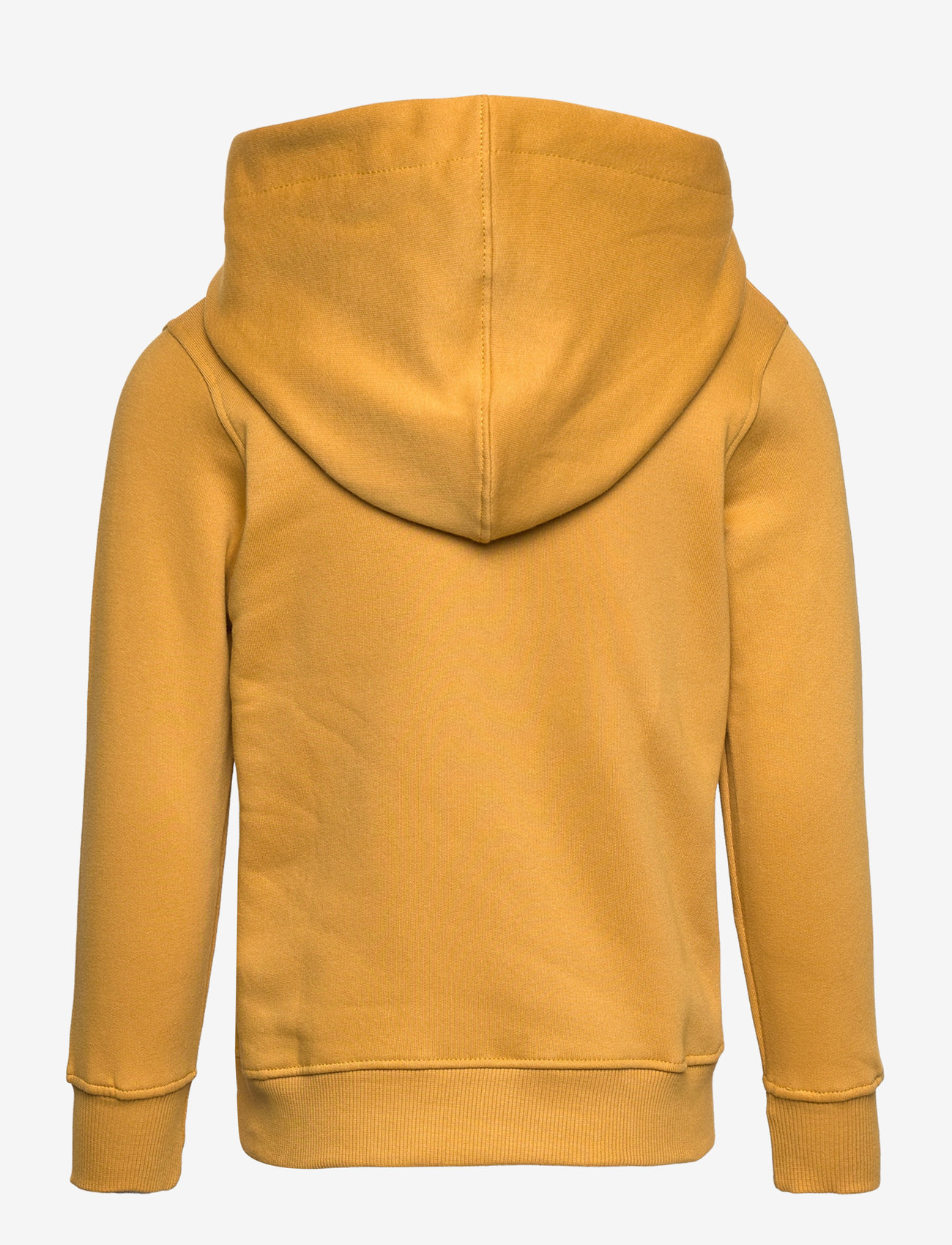 The New - TNHADDON HOODIE - harvest gold - 1