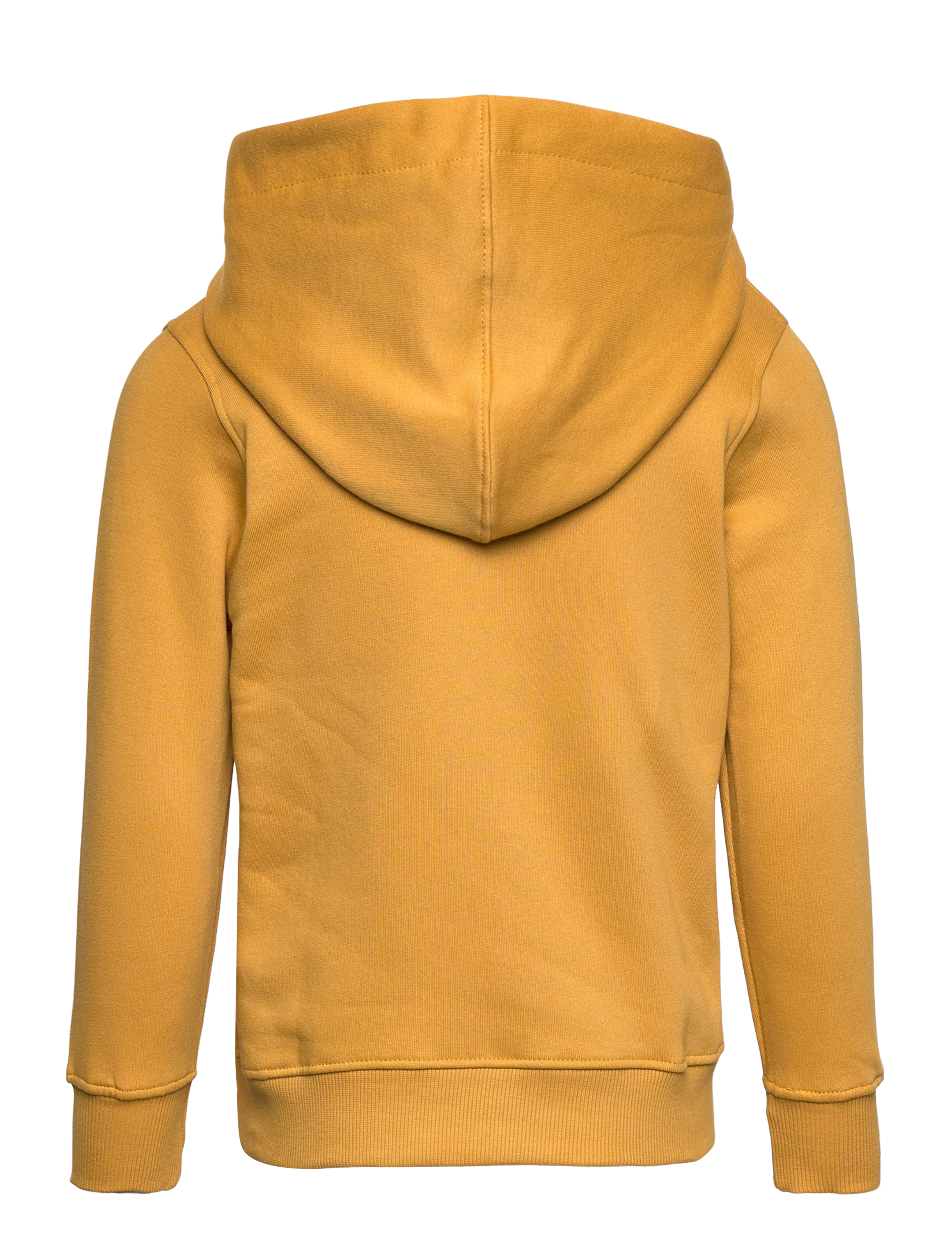 The New - TNHADDON HOODIE - harvest gold - 1