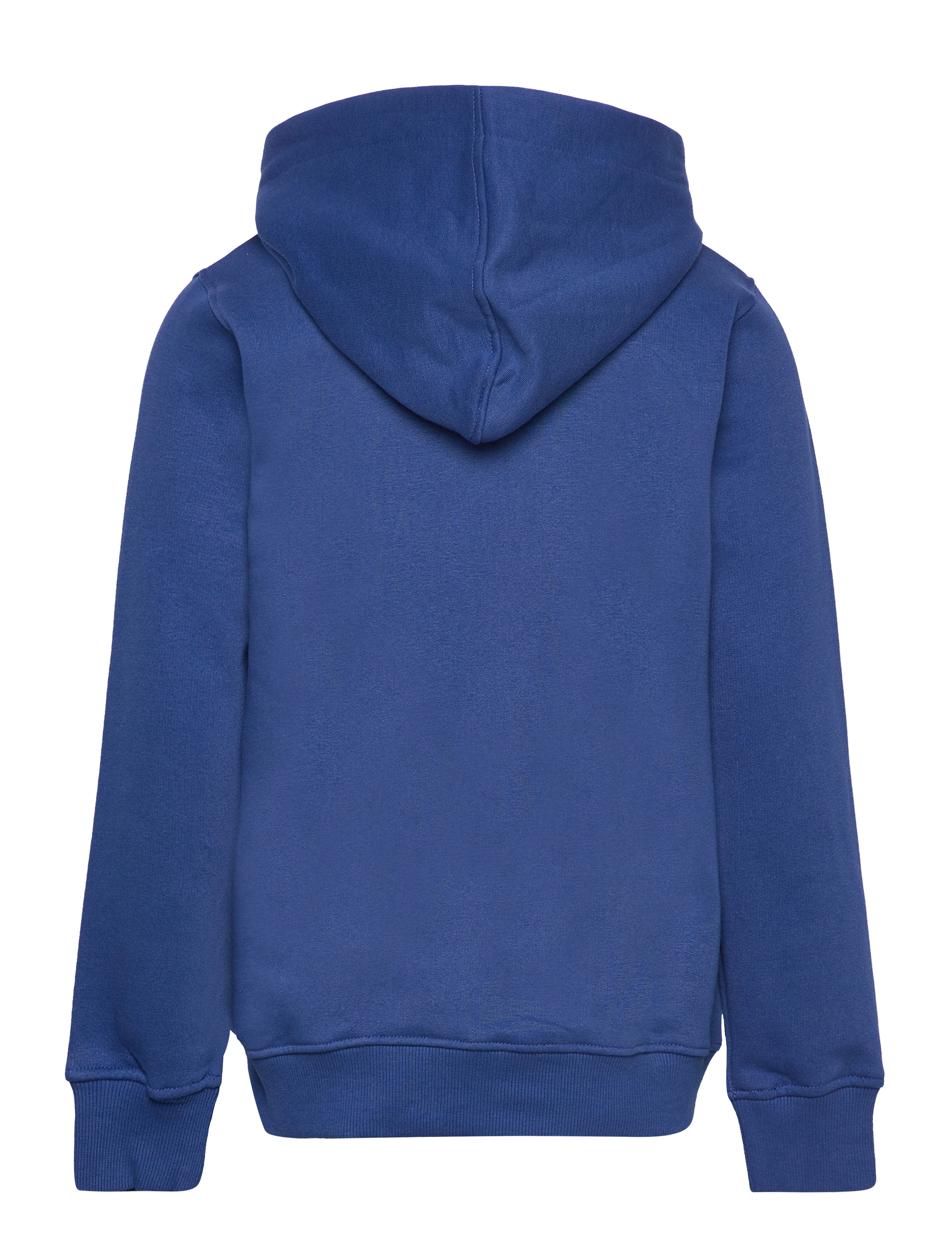 The New - TNHADDON HOODIE - monaco blue - 1