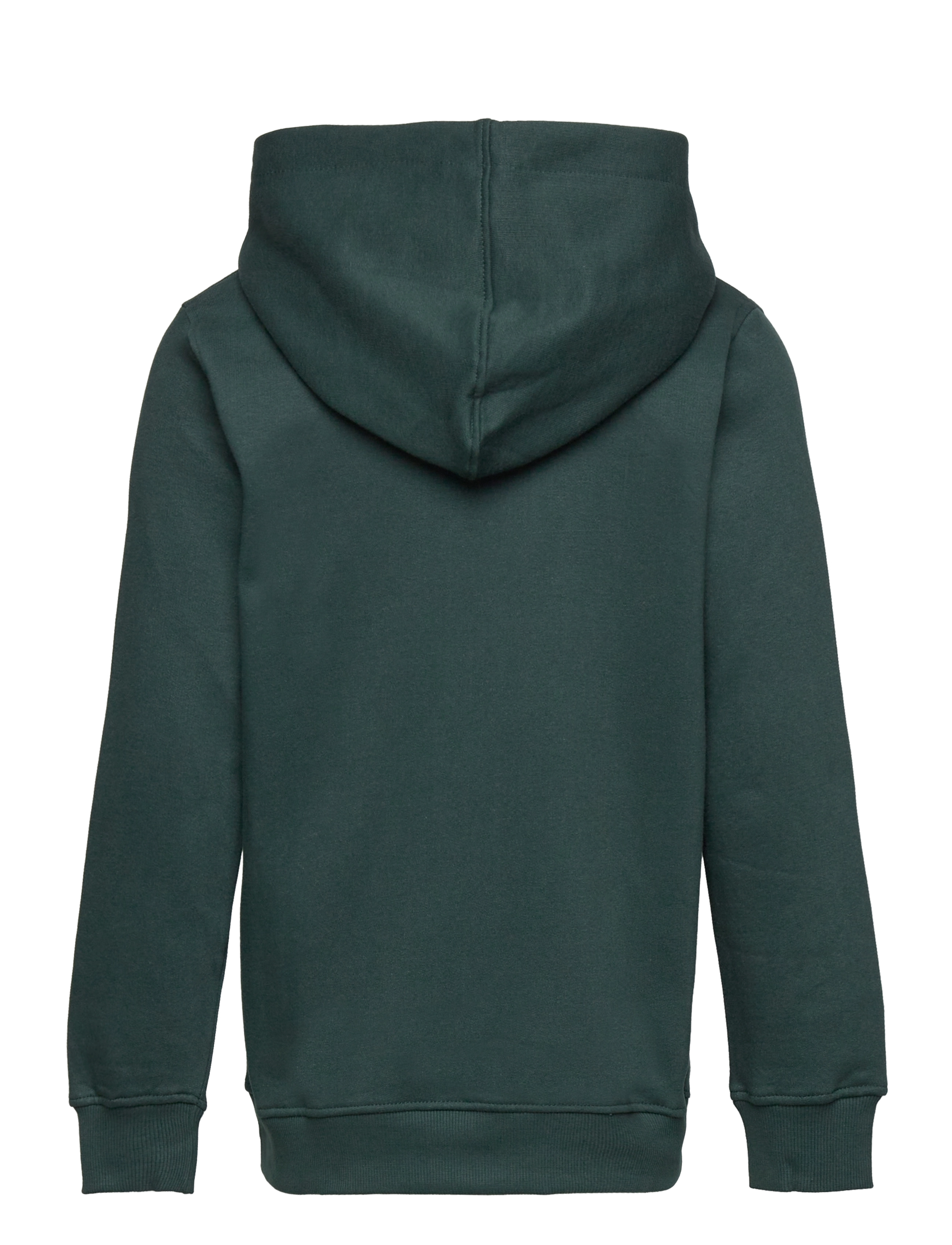 The New - TNHUXTON HOODIE - green gables - 1
