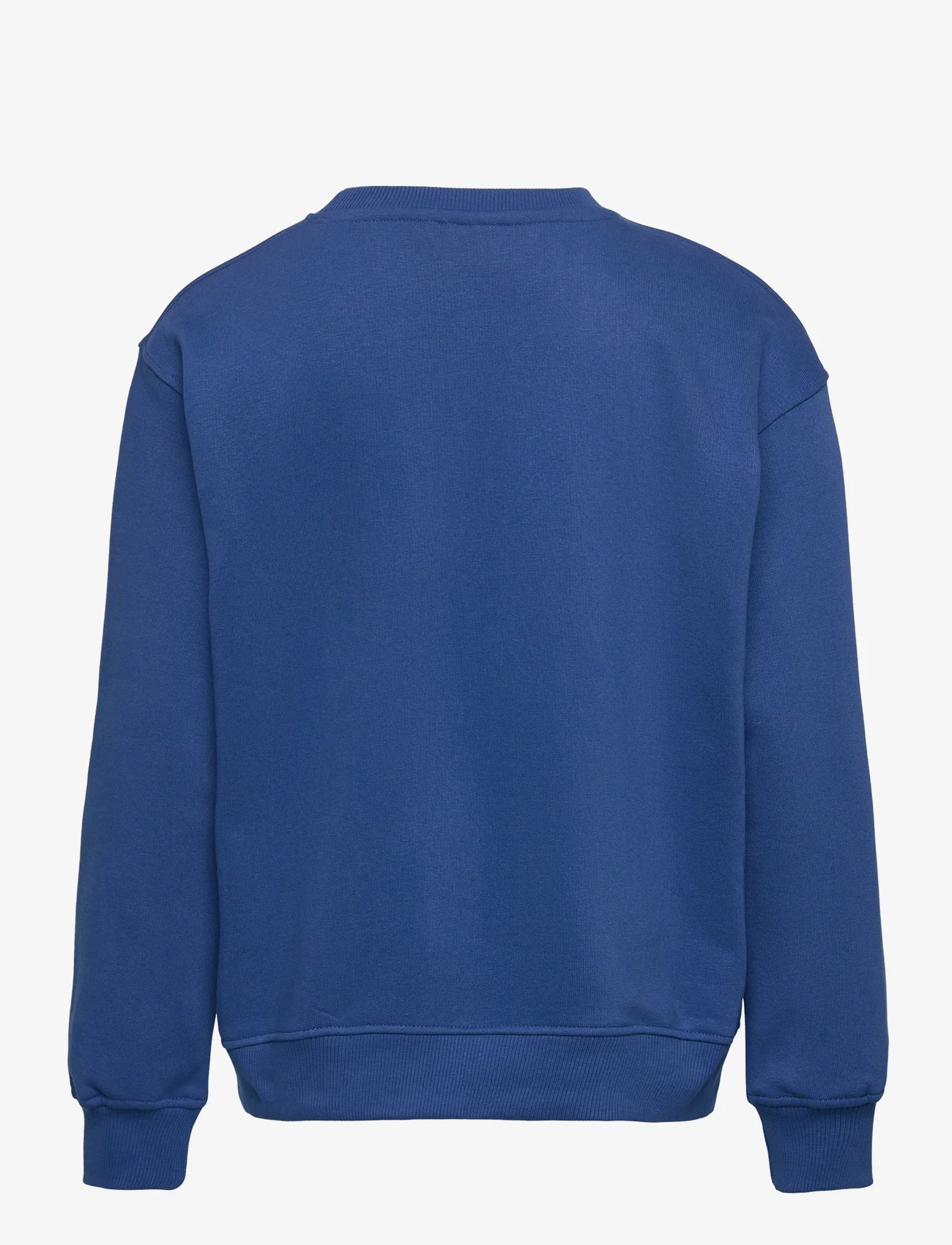 The New - TNHENREY OS SWEATSHIRT - sweatshirts - monaco blue - 1