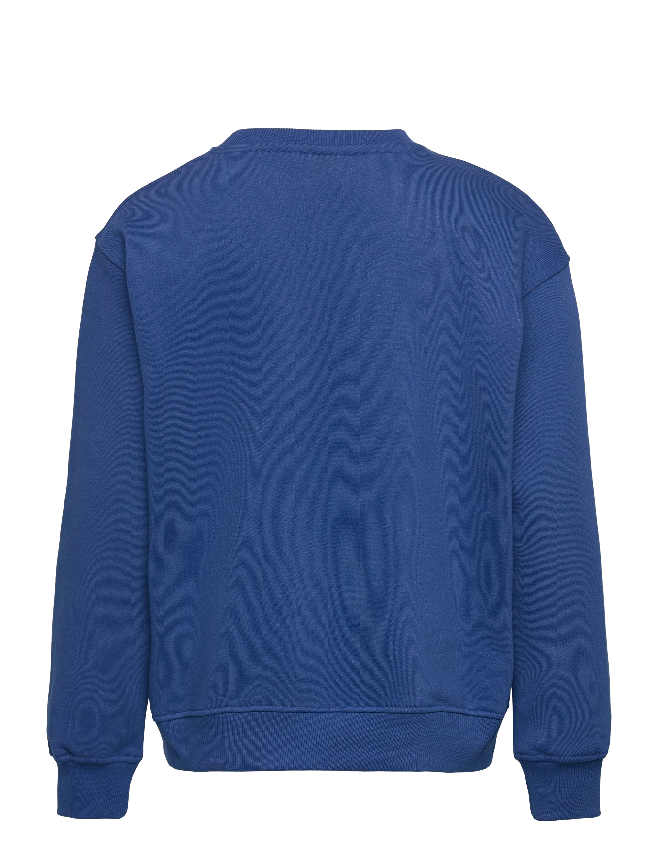 The New - TNHENREY OS SWEATSHIRT - monaco blue - 1