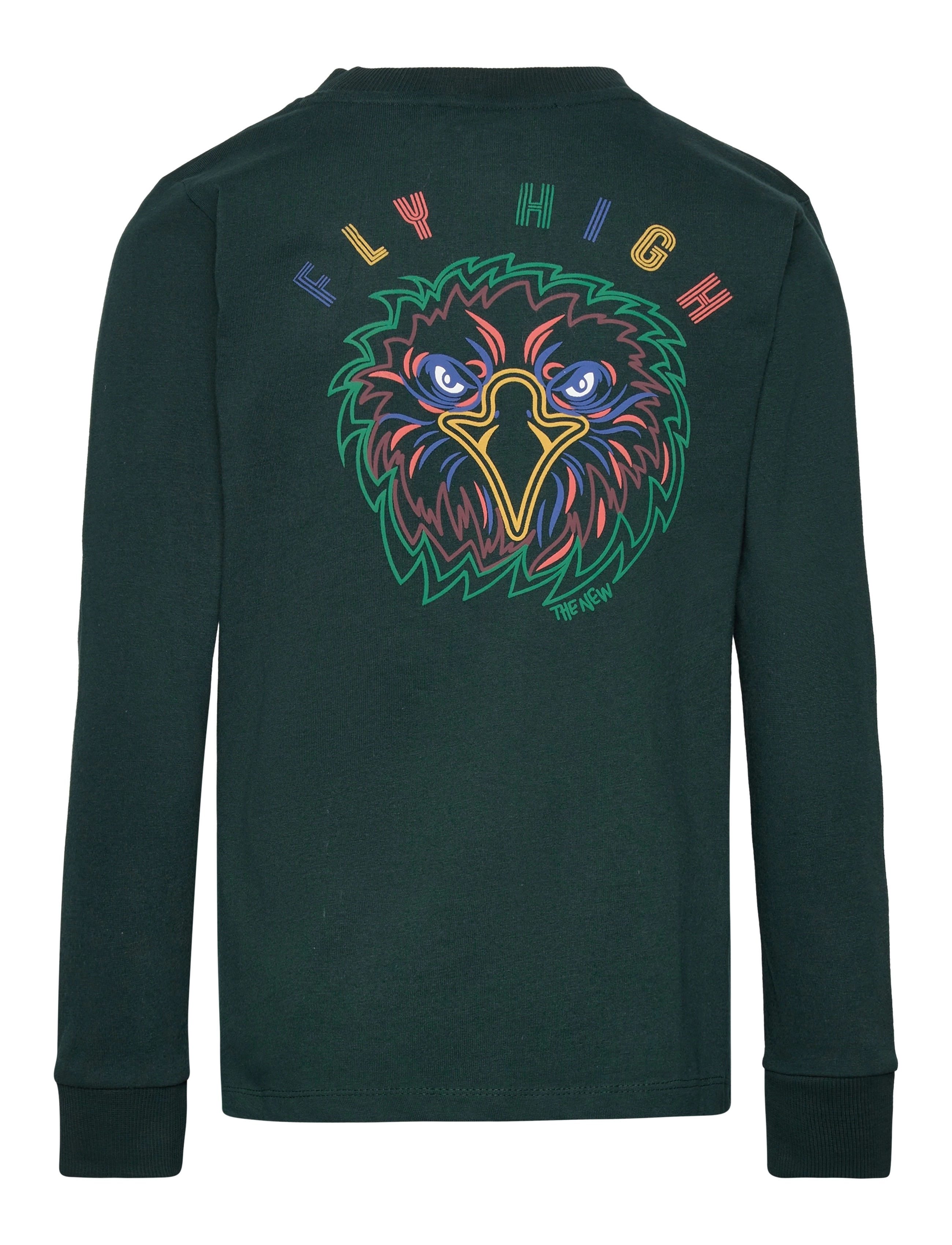 The New - TNHOLT L_S TEE - green gables - 1