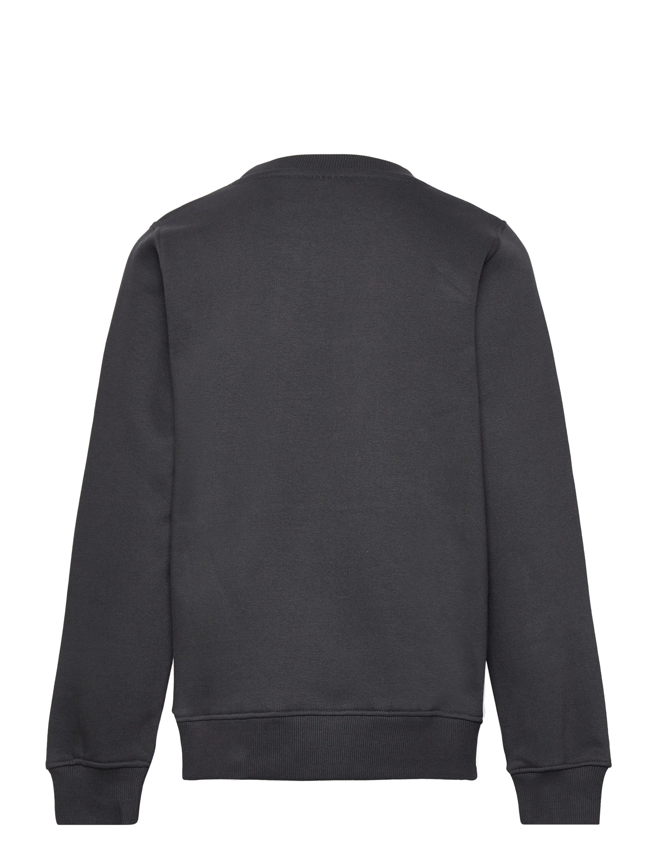The New - TNHARLEY SWEATSHIRT - phantom - 1