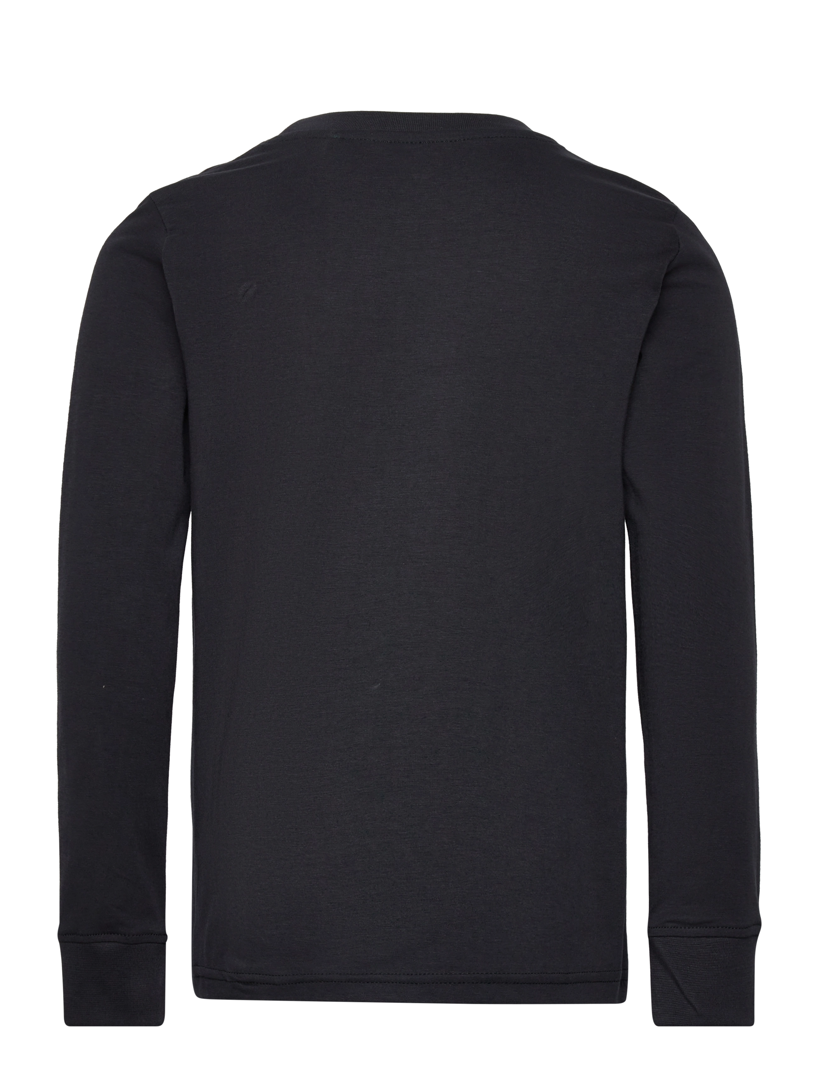 The New - TNHERO L_S TEE - phantom - 1