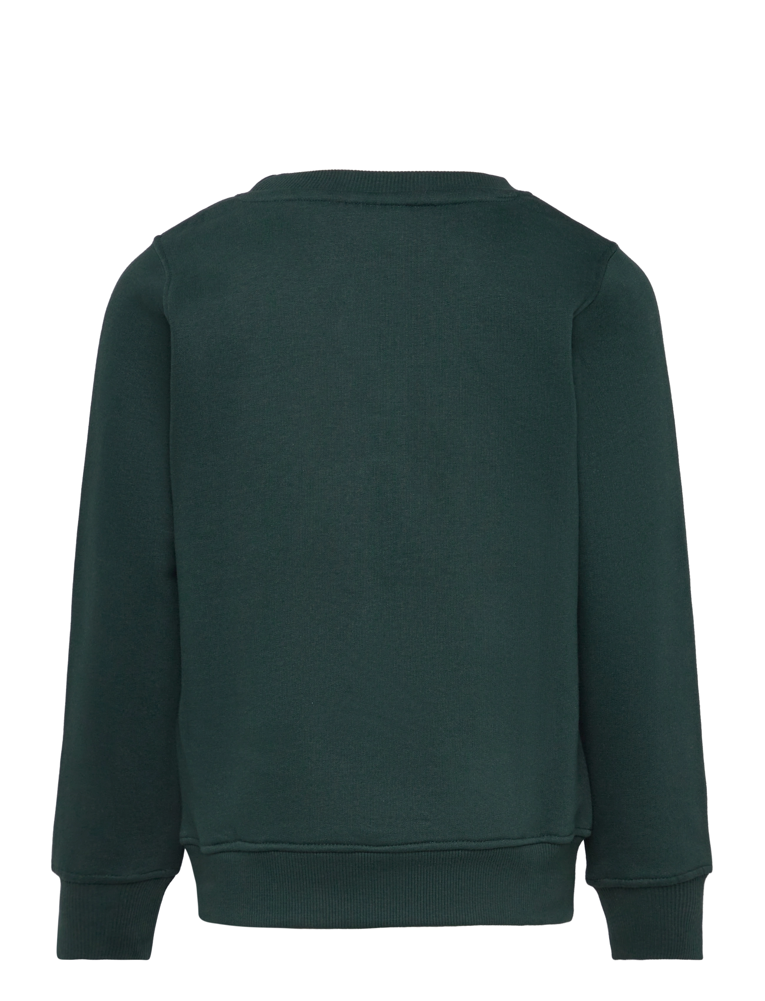 The New - TNHAGEN SWEATSHIRT - green gables - 1