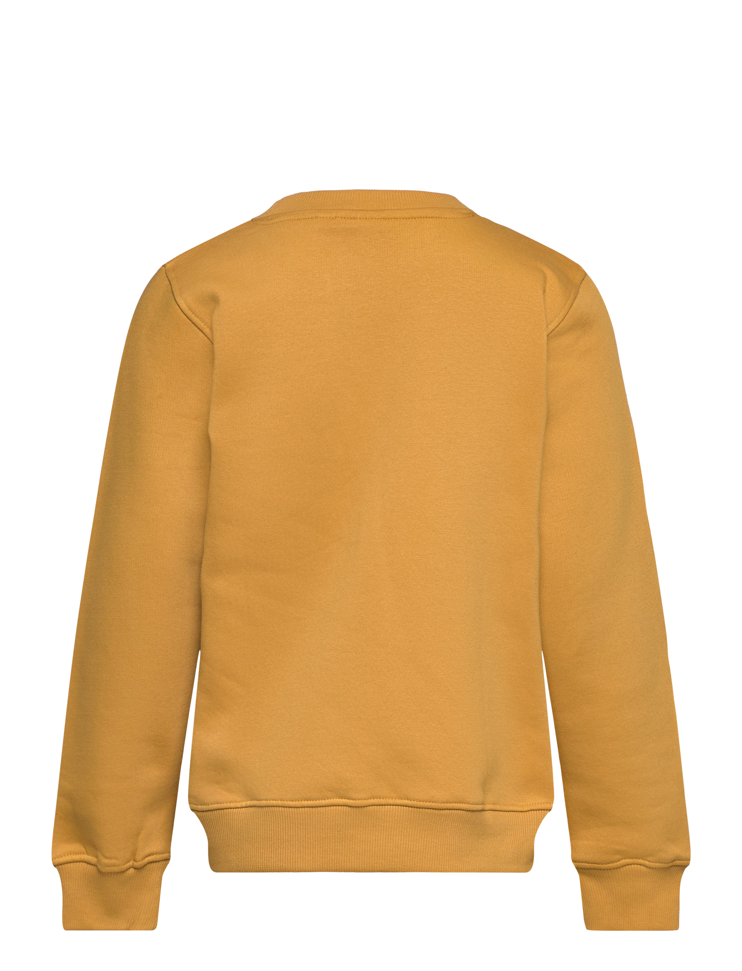 The New - TNHAGEN SWEATSHIRT - harvest gold - 1