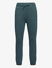The New - TNHECTOR SWEATPANTS - laveste priser - green gables - 0