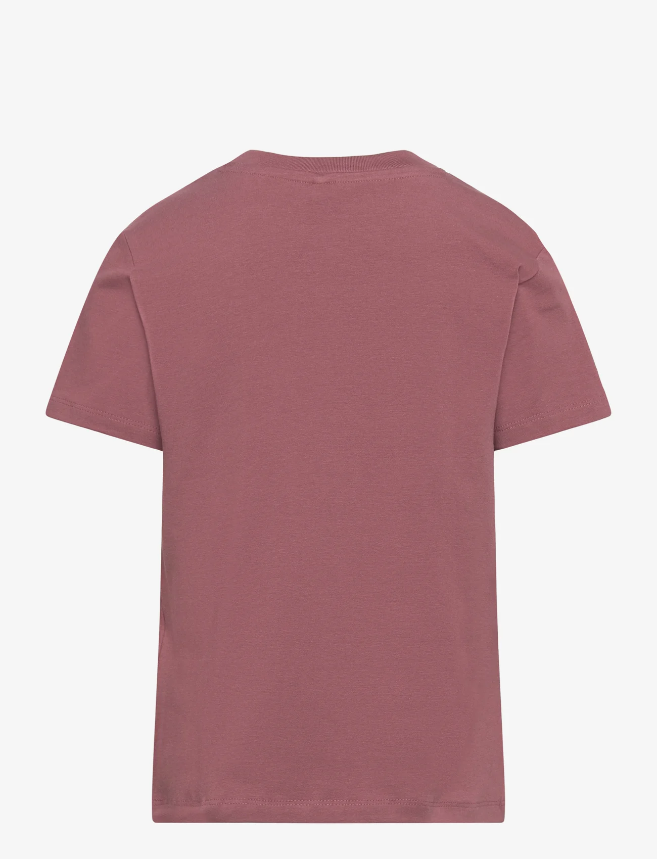The New - TNHIBA S_S TEE - kortærmede t-shirts - rose brown - 1