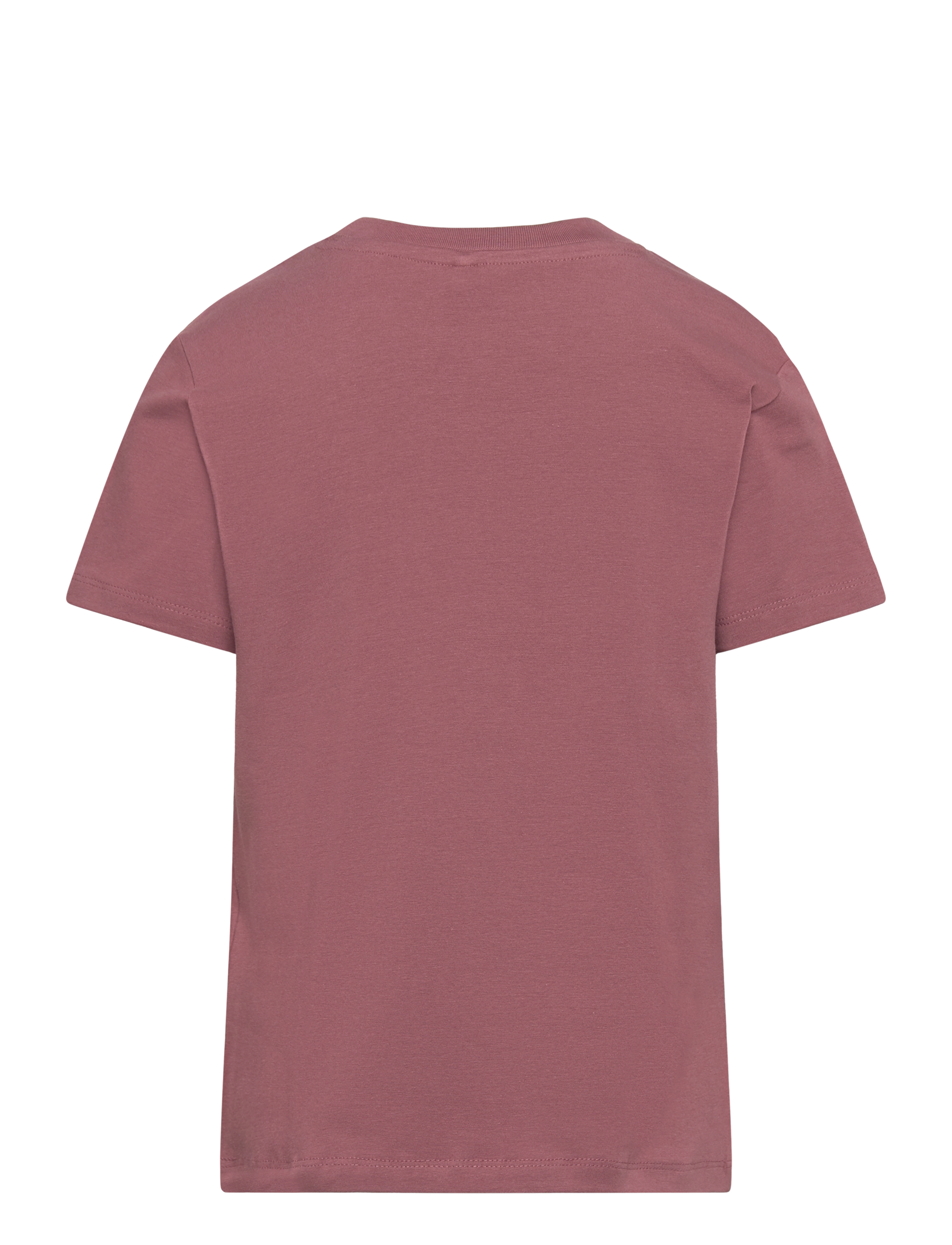 The New - TNHIBA S_S TEE - rose brown - 1