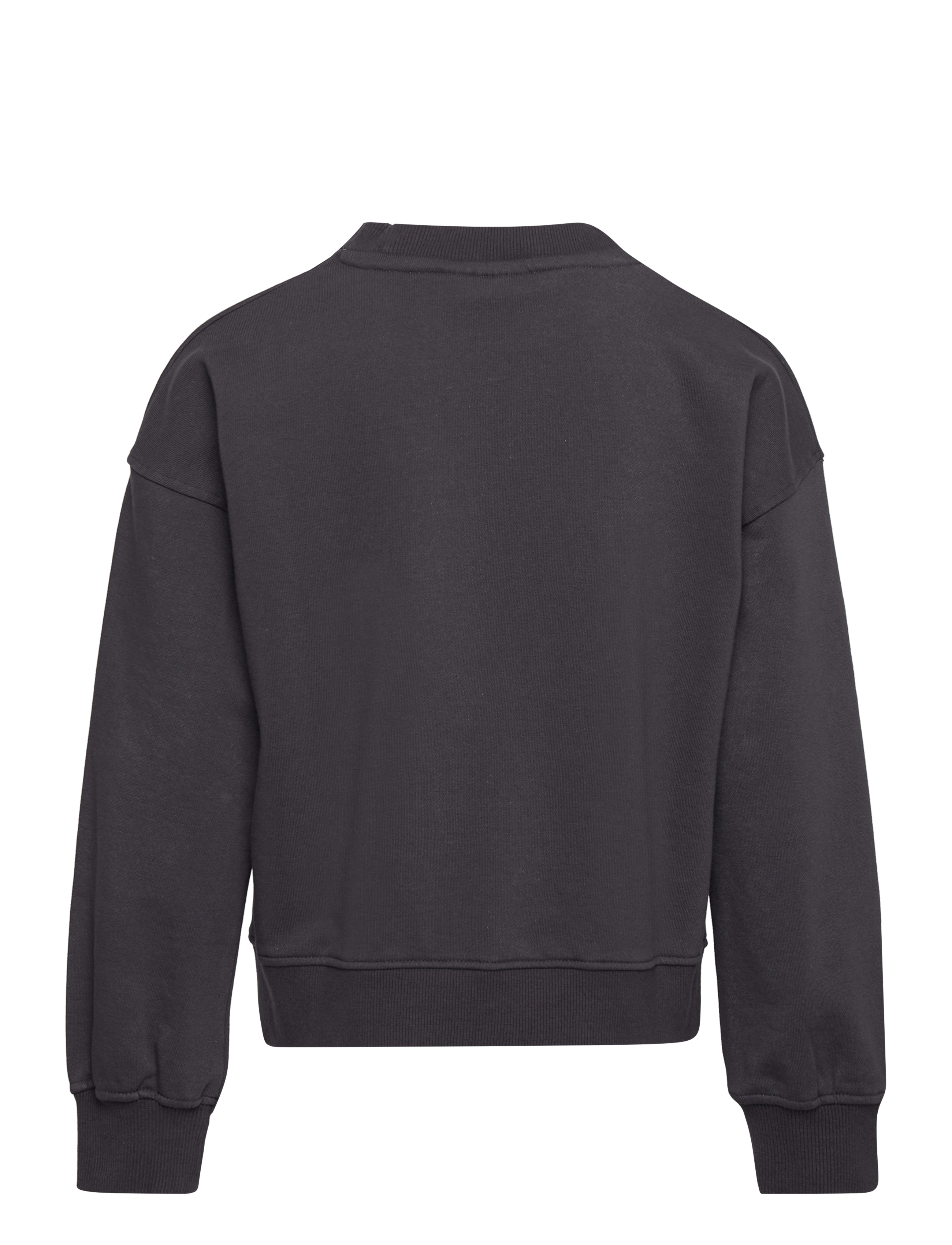 The New - TNHATTIE OS SWEATSHIRT - phantom - 1