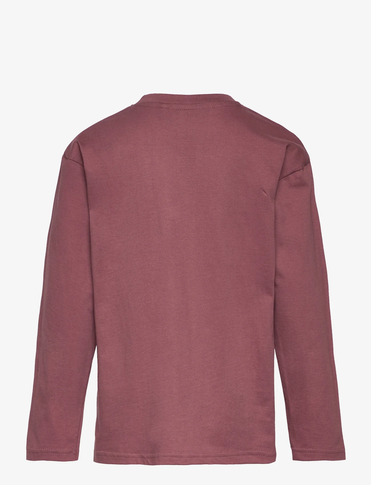 The New - TNHONESTY UNISEX L_S TEE - långärmade t-shirts - rose brown - 1