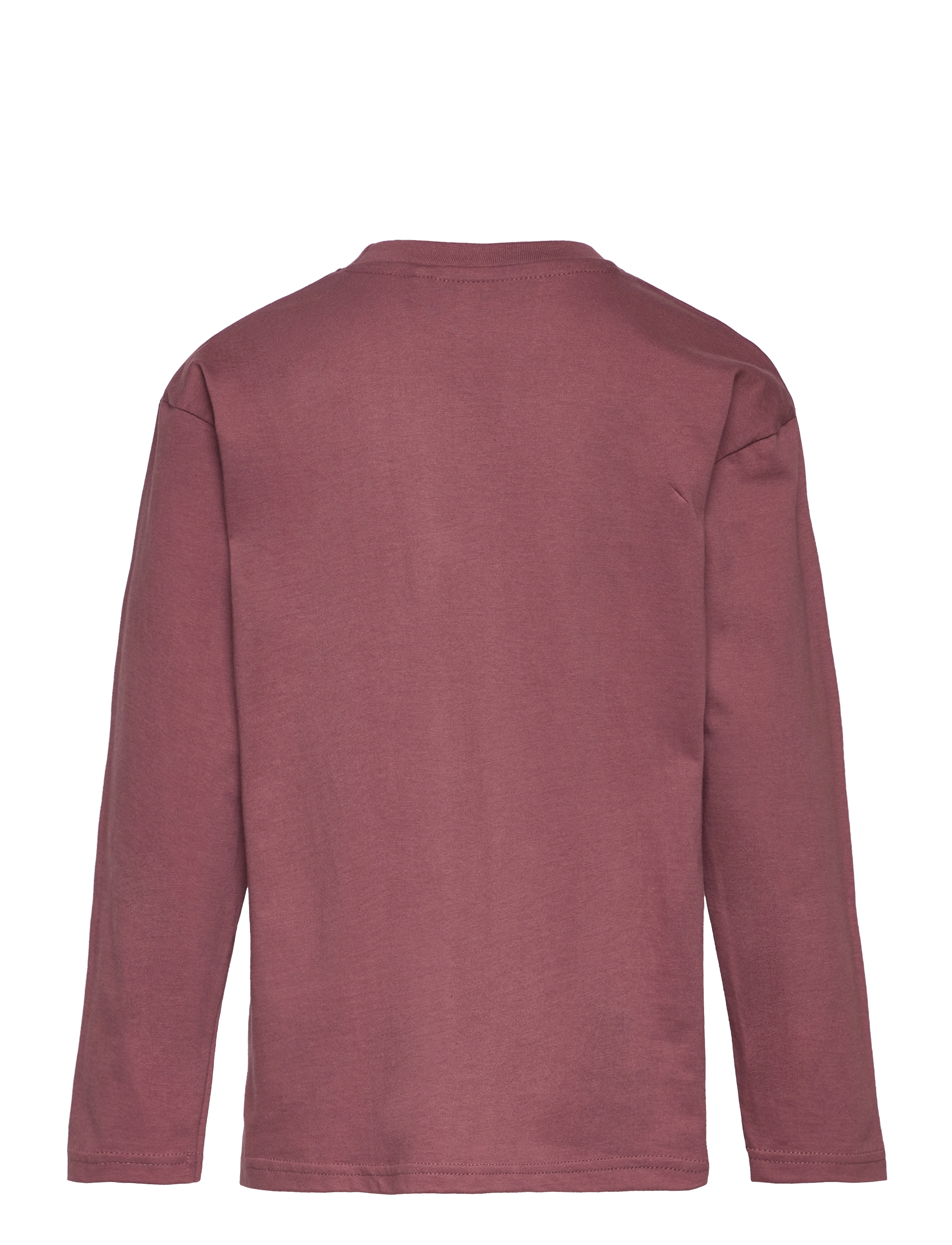 The New - TNHONESTY UNISEX L_S TEE - rose brown - 1
