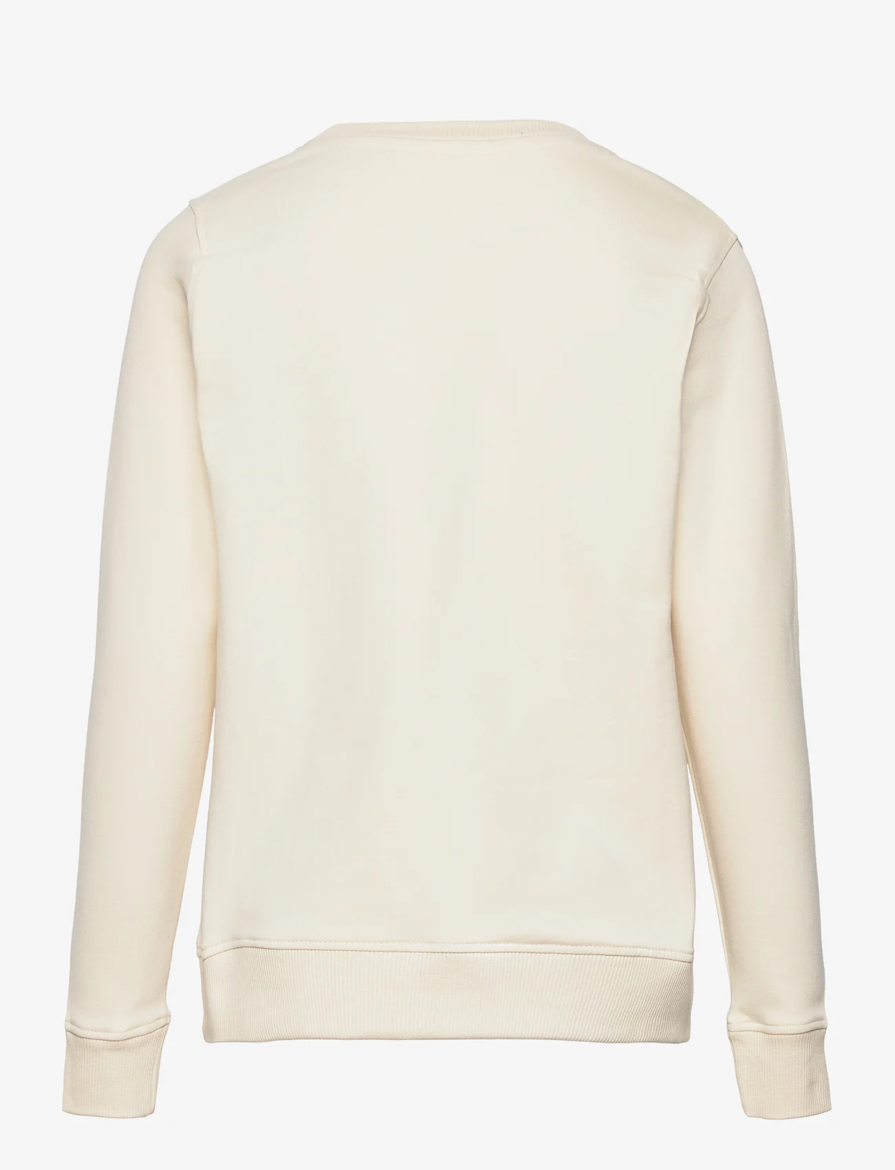 The New - TNHAREEM SWEATSHIRT - sweatshirts - white swan - 1