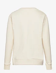 The New - TNHAREEM SWEATSHIRT - sweatshirts - white swan - 1