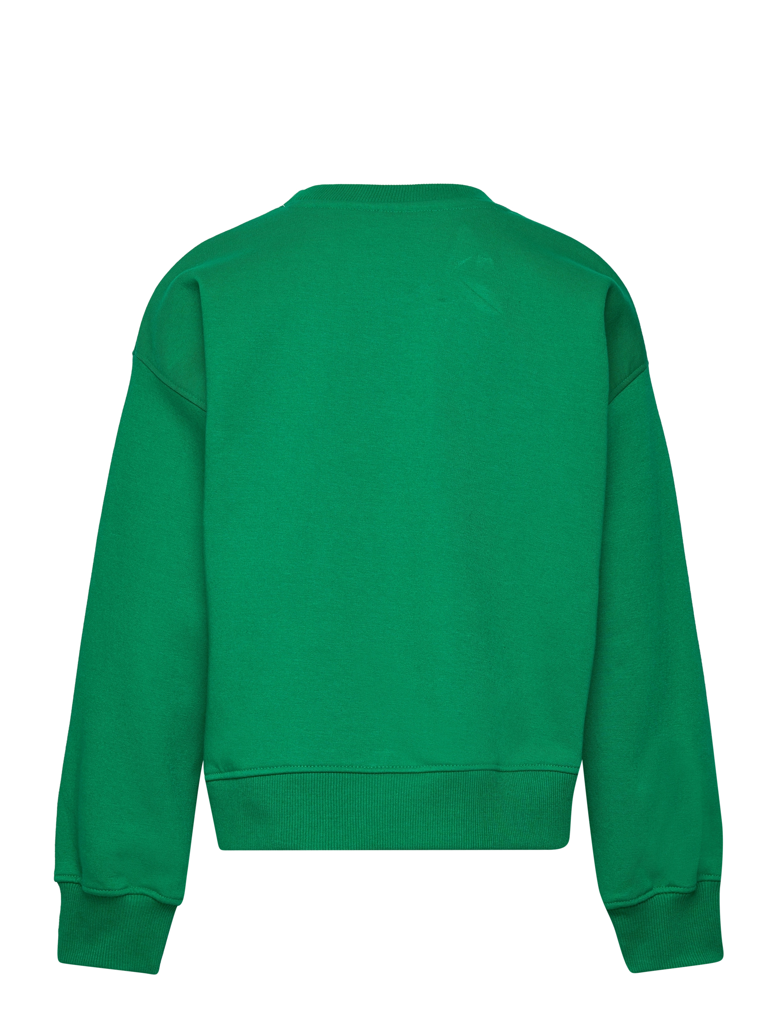 The New - TNHEDWIG OS SWEATSHIRT - bosphorus - 1